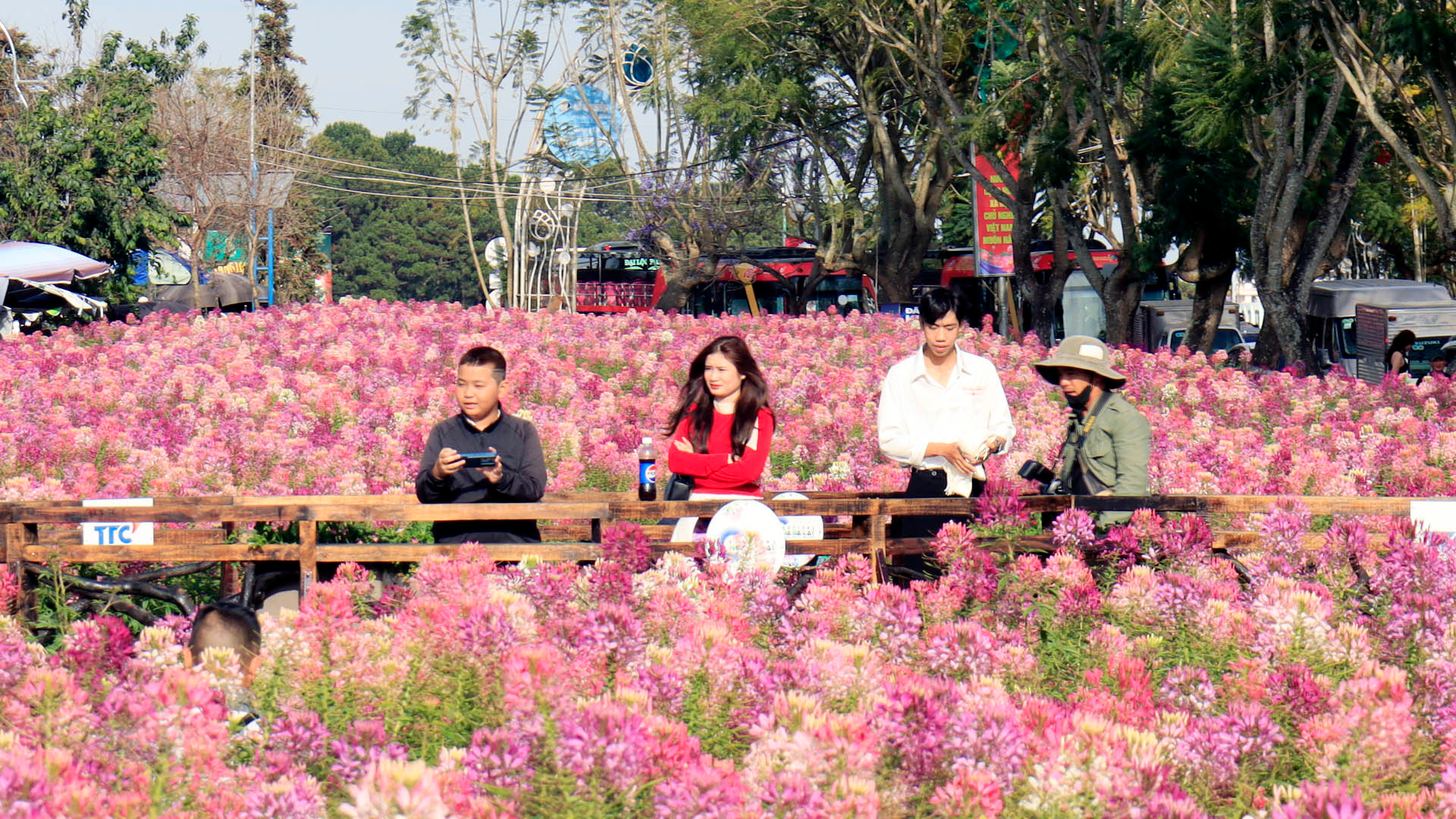 Nhiều du khách chọn du xuân cùng sắc hoa Đà Lạt.