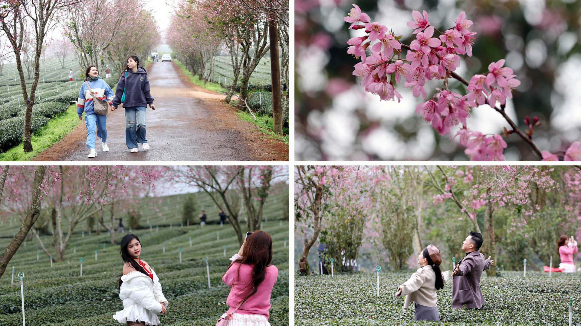 Năm 2025, tỉnh Lâm Đồng phấn đấu tăng trưởng kinh tế đạt từ 9-10%. Trong đó, phát triển du lịch được xem là khâu đột phá và phấn đấu trở thành “thiên đường xanh”, với sức hút của các trung tâm du lịch nghỉ dưỡng - sinh thái - chăm sóc sức khỏe - thể thao cao cấp hàng đầu Việt Nam và Đông Nam Á.