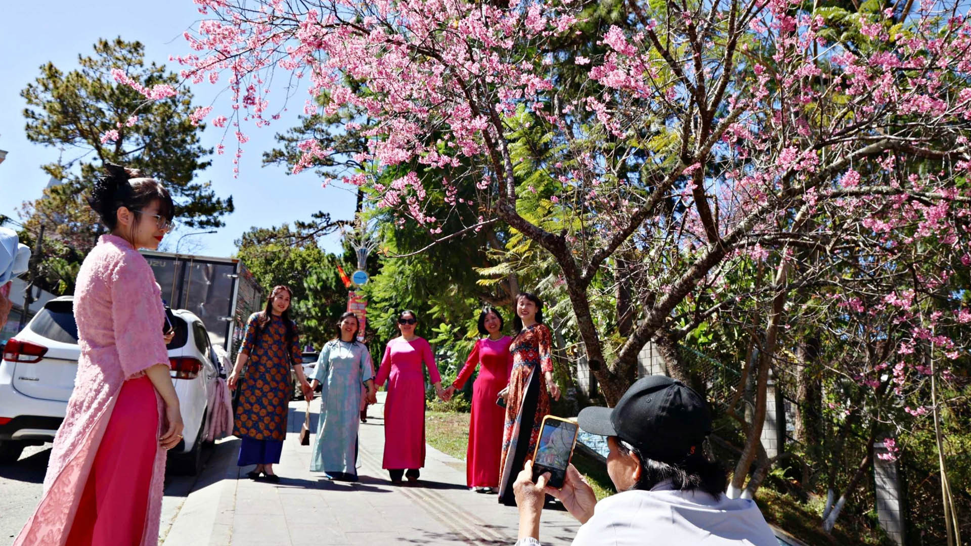 Phụ nữ xúng xính áo hoa hò hẹn chụp ảnh kỷ niệm cùng hoa mai anh đào Đà Lạt.