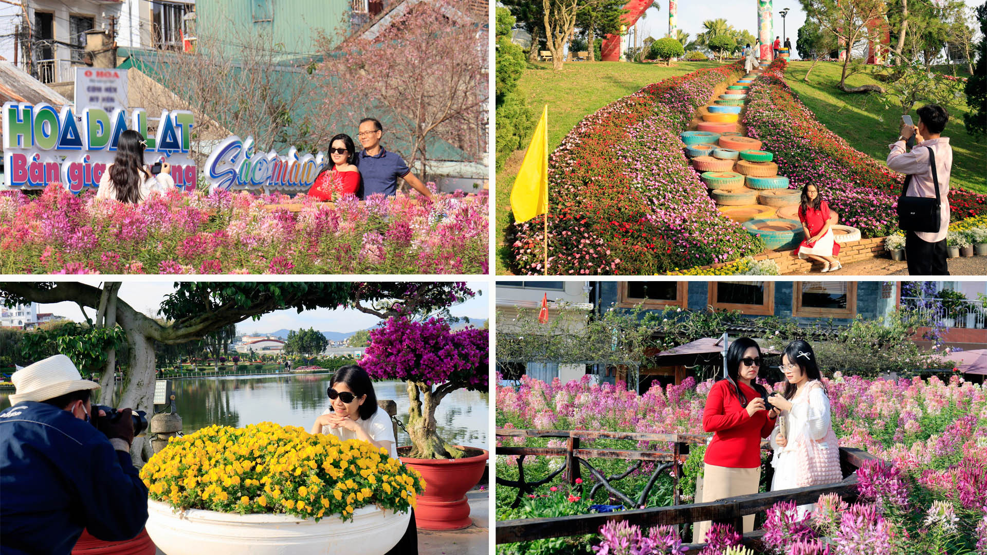 Nhiều du khách cho biết, Tết năm nay Đà Lạt thật tuyệt, cùng với những vườn hoa quanh năm khoe sắc, nhiều không gian hoa nghệ thuật từ Festival Hoa Đà Lạt lần thứ 10 được gìn giữ để phục vụ du khách du xuân, đã tạo nên bản giao hưởng sắc màu trên phố núi.