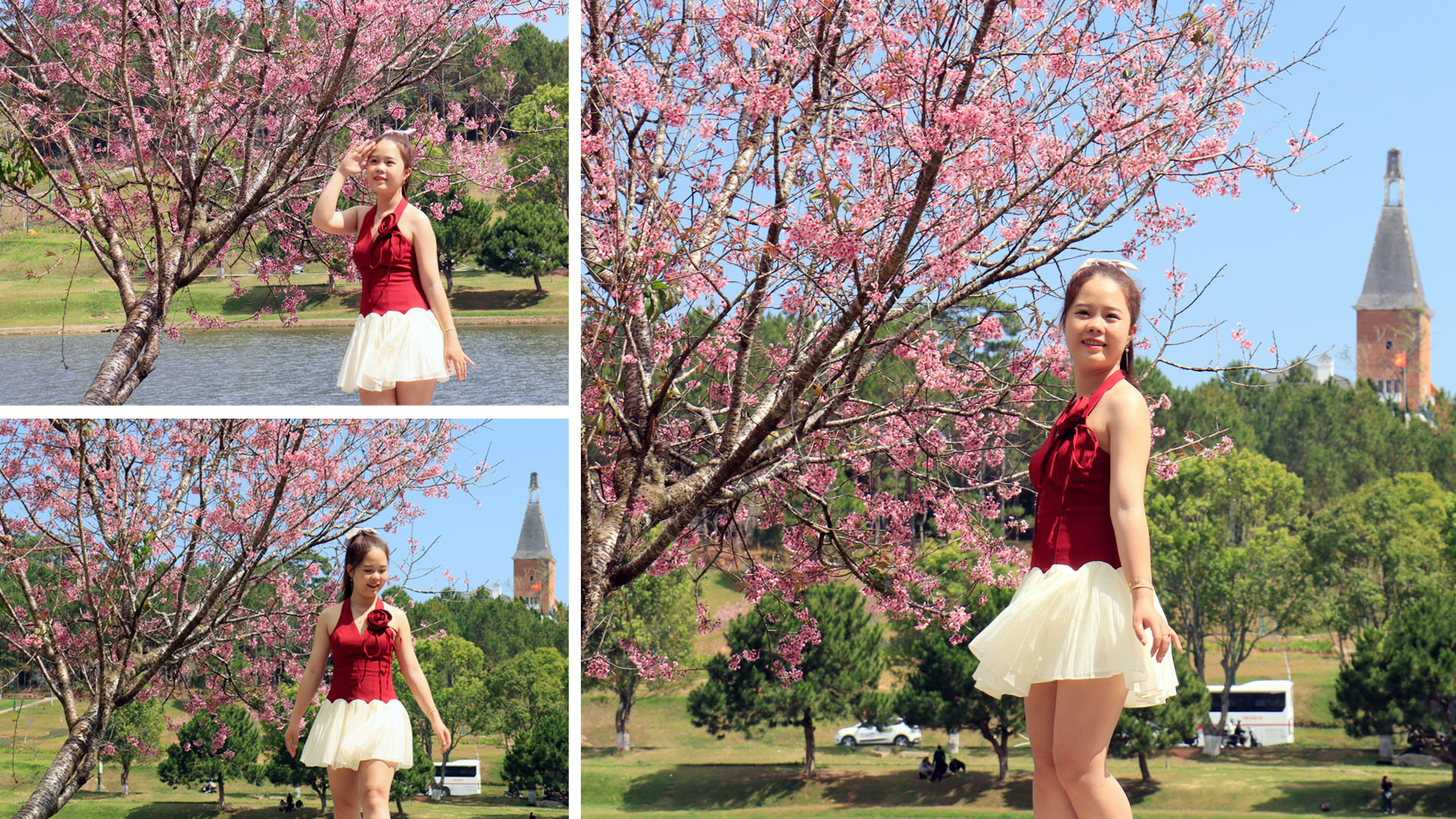 Bạn trẻ tạo dáng bên sắc hoa mai anh đào quyến rũ trên cung đường quanh hồ Xuân Hương, trái tim phố núi Đà Lạt.