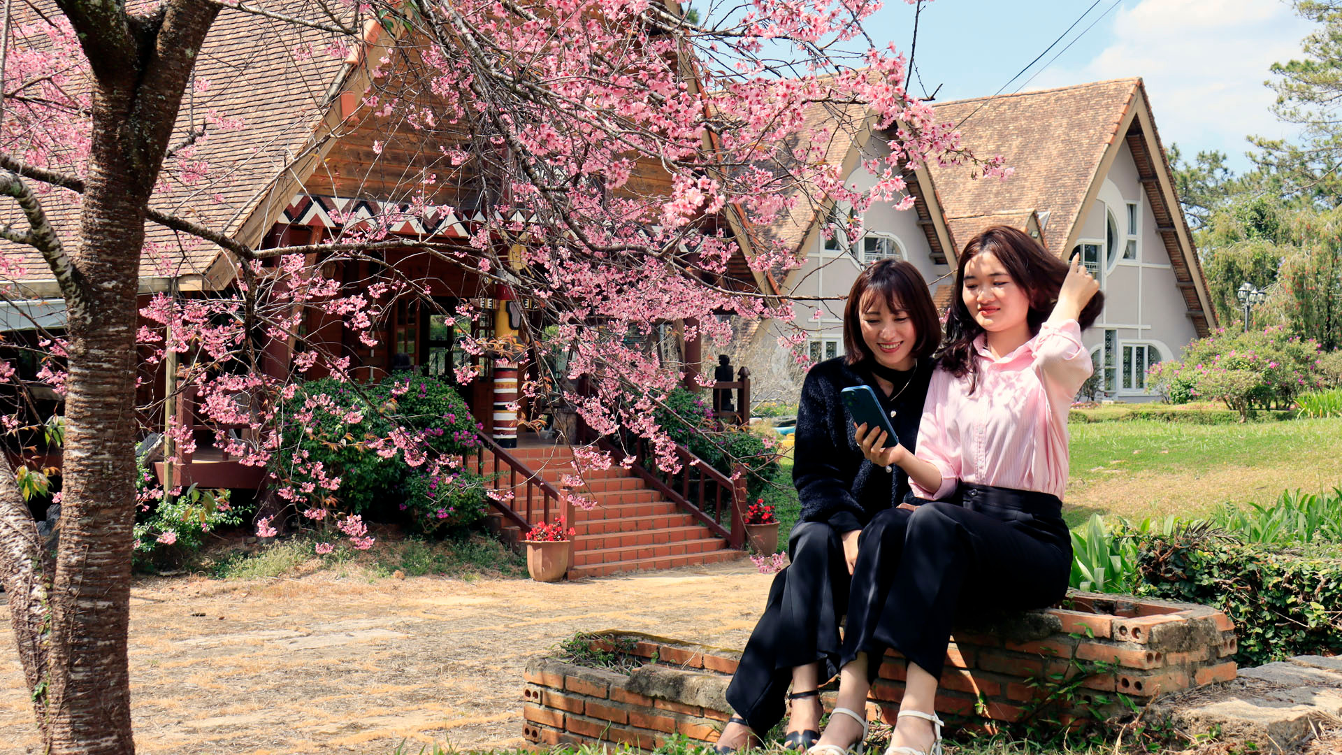 Nhiều bạn trẻ hò hẹn check-in cùng sắc hoa mai anh đào Đà Lạt.