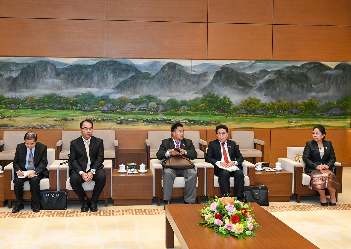 Các đại biểu Ban Tổ chức Trung ương Đảng Nhân dân Cách mạng Lào dự buổi tiếp. Các đại biểu Ban Tổ chức Trung ương Đảng Nhân dân Cách mạng Lào dự buổi tiếp.