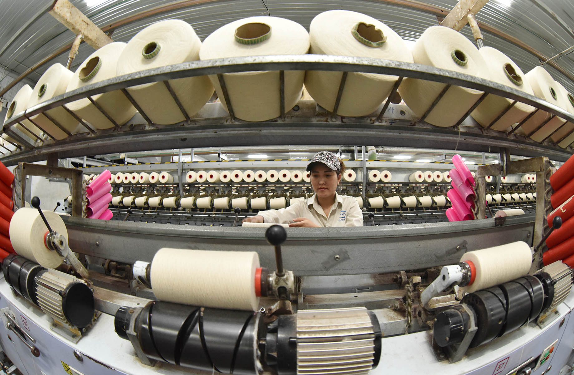 Ảnh: Trần Hải.