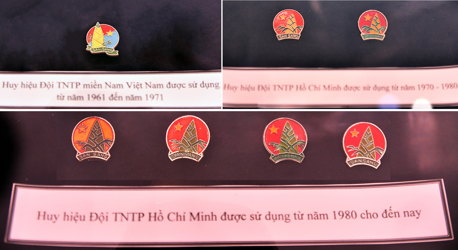 Huy hiệu Đội Thiếu niên Tiền phong Hồ Chí Minh qua các thời kỳ. Trong đó, đáng chú ý có chiếc huy hiệu Đội Thiếu niên Tiền phong miền nam Việt Nam.
