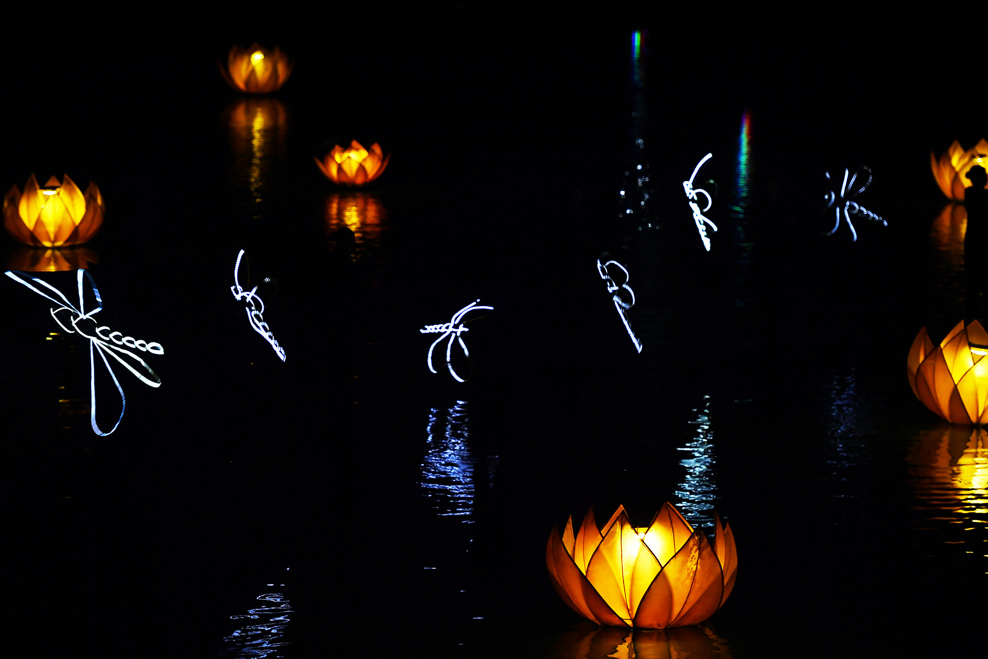 Một hoạt cảnh khác nói về văn hóa miền bắc qua hình tượng ao sen vàng. Một hoạt cảnh khác nói về văn hóa miền bắc qua hình tượng ao sen vàng.