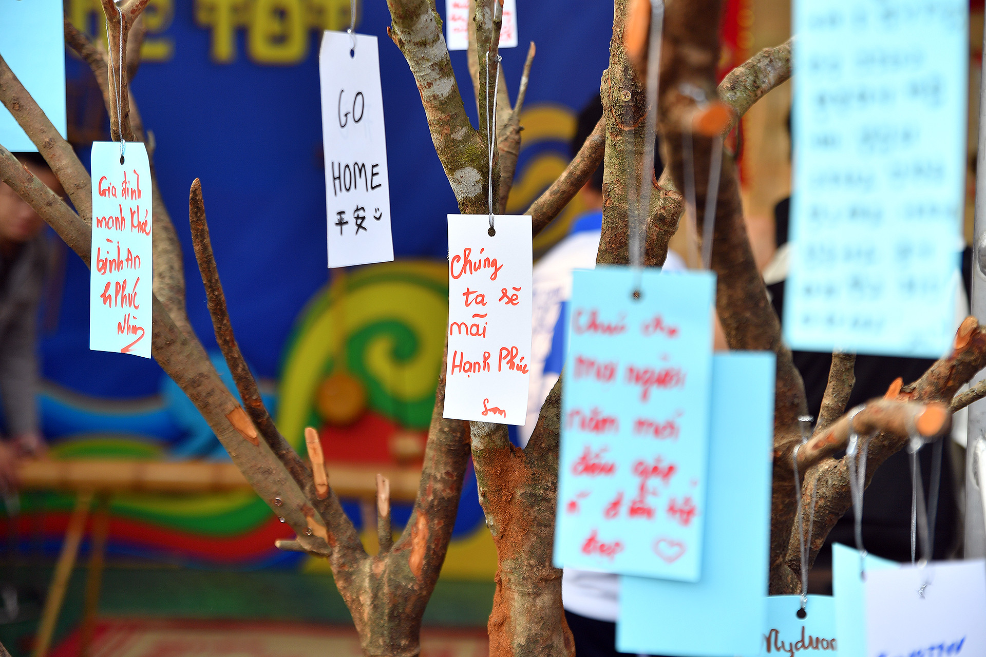 Những câu chúc đầy ý nghĩa mà các bạn trẻ gửi gắm đến Connect Fest đồng thời là những lời nhắn nhủ, dặn dò bản thân trong năm mới 2025.