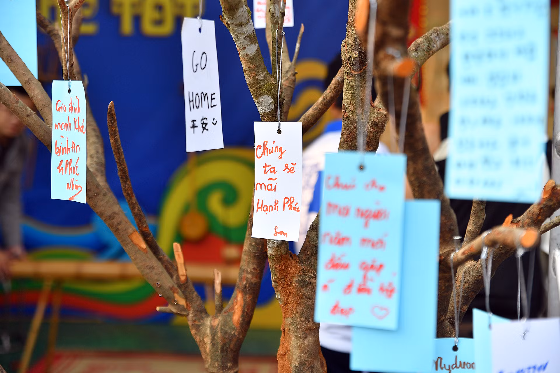 Những câu chúc đầy ý nghĩa mà các bạn trẻ gửi gắm đến Connect Fest đồng thời là những lời nhắn nhủ, dặn dò bản thân trong năm mới 2025.