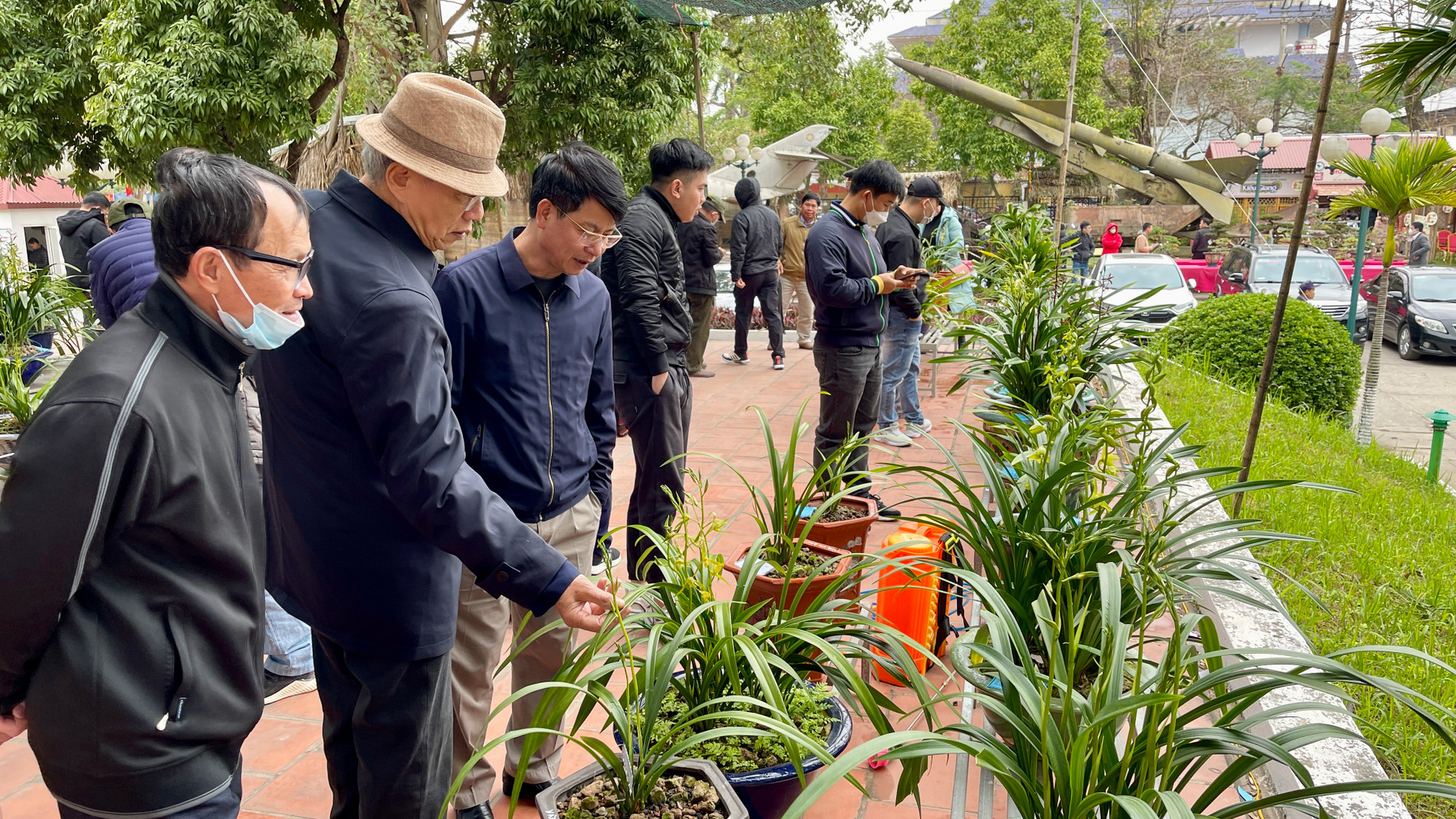 Du khách sôi nổi bàn luận ở khu triển lãm sinh vật cảnh, với rất nhiều loài hoa lan quý được tuyển chọn từ nhiều nơi trong tỉnh.