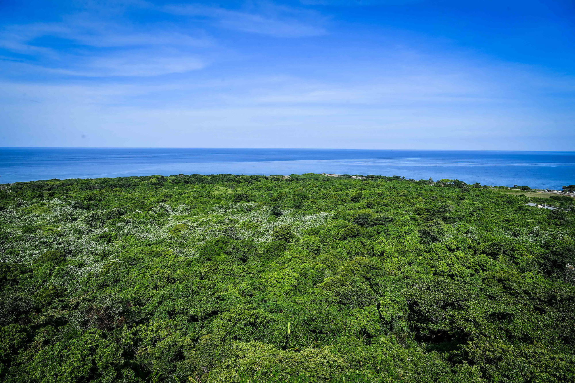 Cồn Cỏ là huyện đảo tiền tiêu của Tổ quốc. Nằm ngoài khơi vĩ tuyến 17, địa danh nổi tiếng trong chống Mỹ, có ba "đặc sản" đã trở thành biểu tượng: Cây phong ba, cây bàng vuông và cua đá. Cồn Cỏ là huyện đảo tiền tiêu của Tổ quốc. Nằm ngoài khơi vĩ tuyến 17, địa danh nổi tiếng trong chống Mỹ, có ba "đặc sản" đã trở thành biểu tượng: Cây phong ba, cây bàng vuông và cua đá.