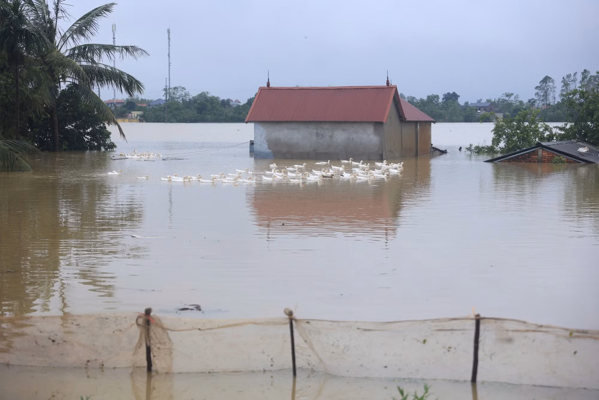 Nước ngập băng khắp 2 xã Tân Tiến và Nam Phương Tiến... Nước ngập băng khắp 2 xã Tân Tiến và Nam Phương Tiến...