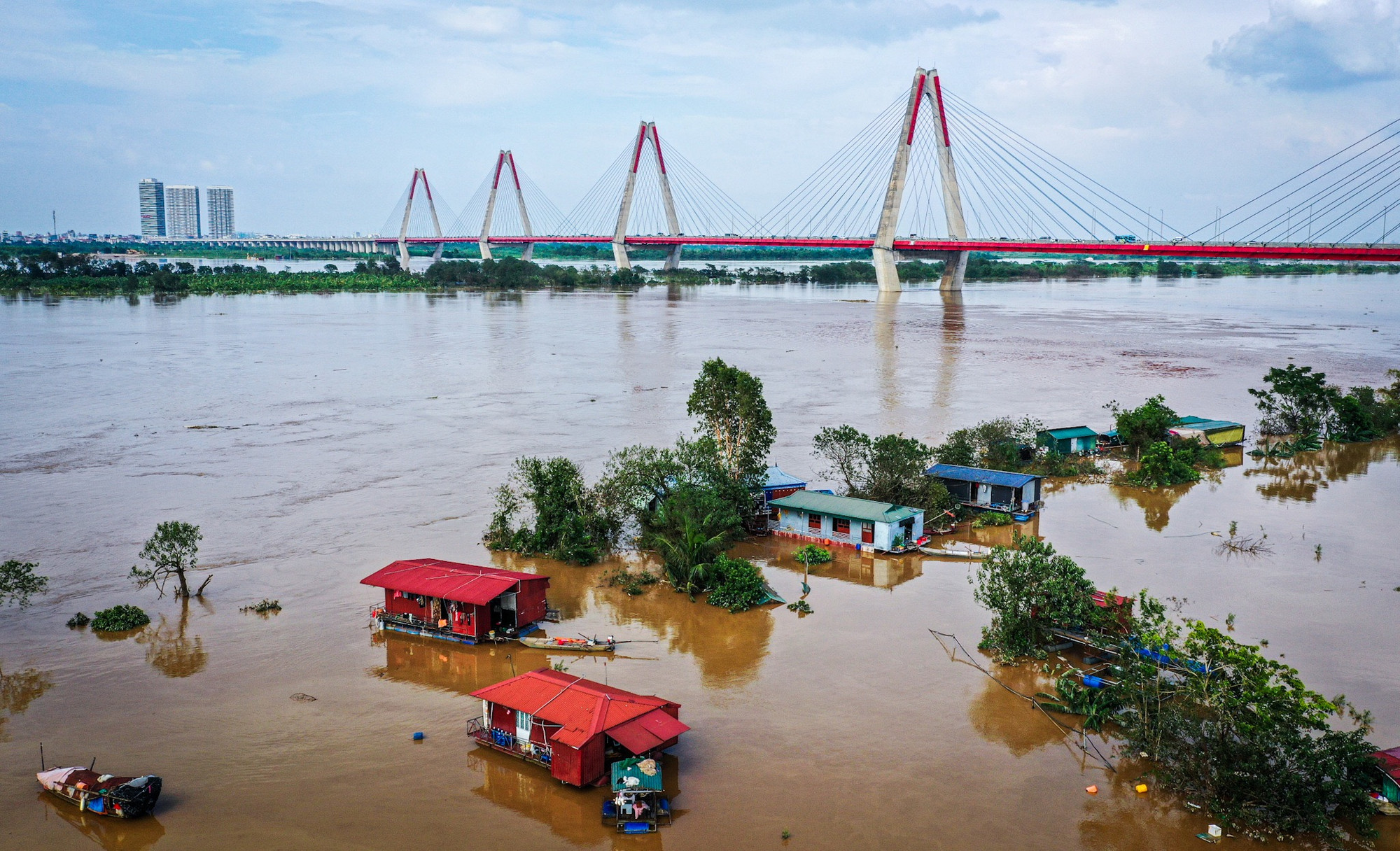 Nhiều người dân tại làng đào truyền thống cho biết, năm nay, họ gần như mất trắng sau cơn bão lịch sử.