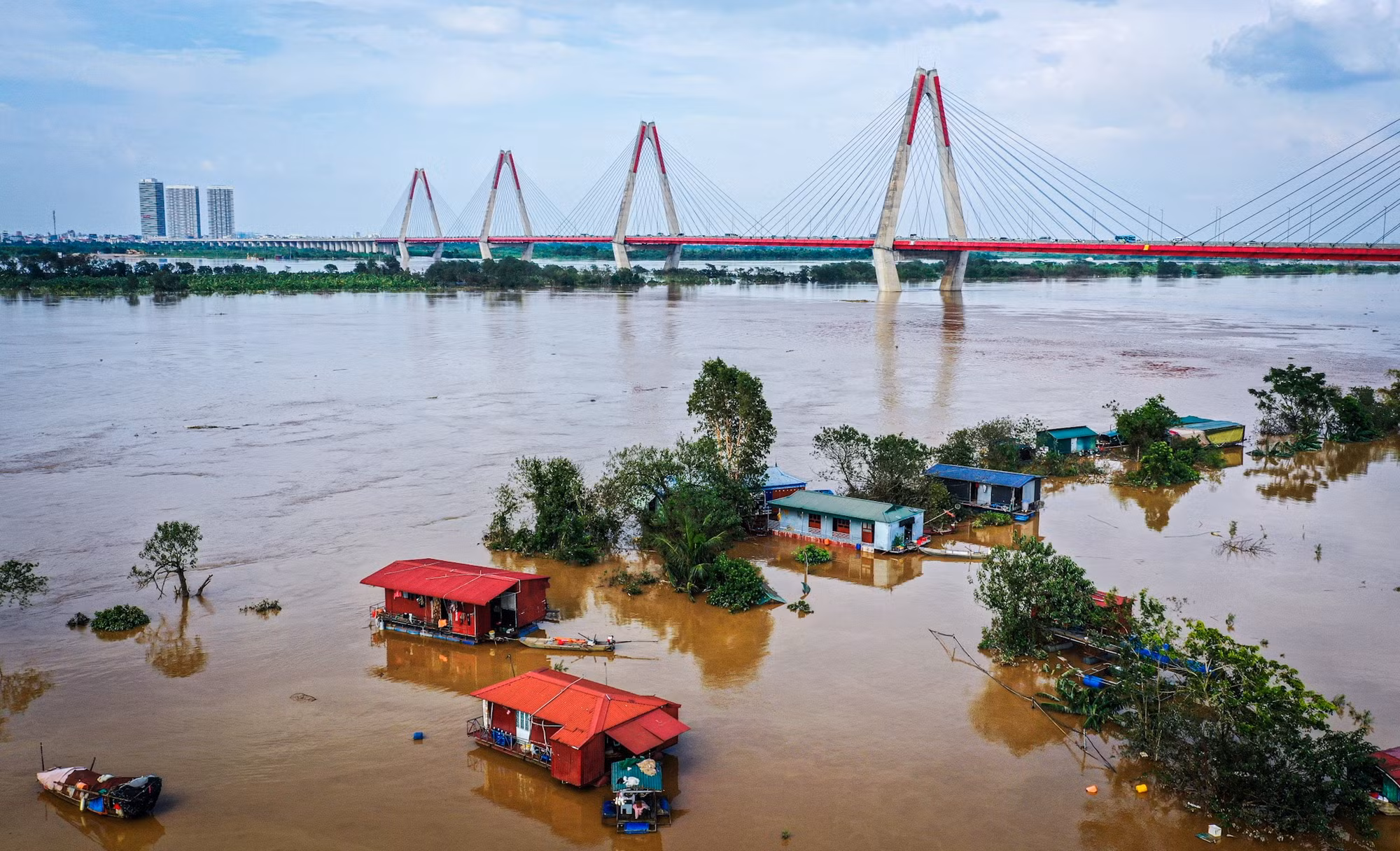 Nhiều người dân tại làng đào truyền thống cho biết, năm nay, họ gần như mất trắng sau cơn bão lịch sử.