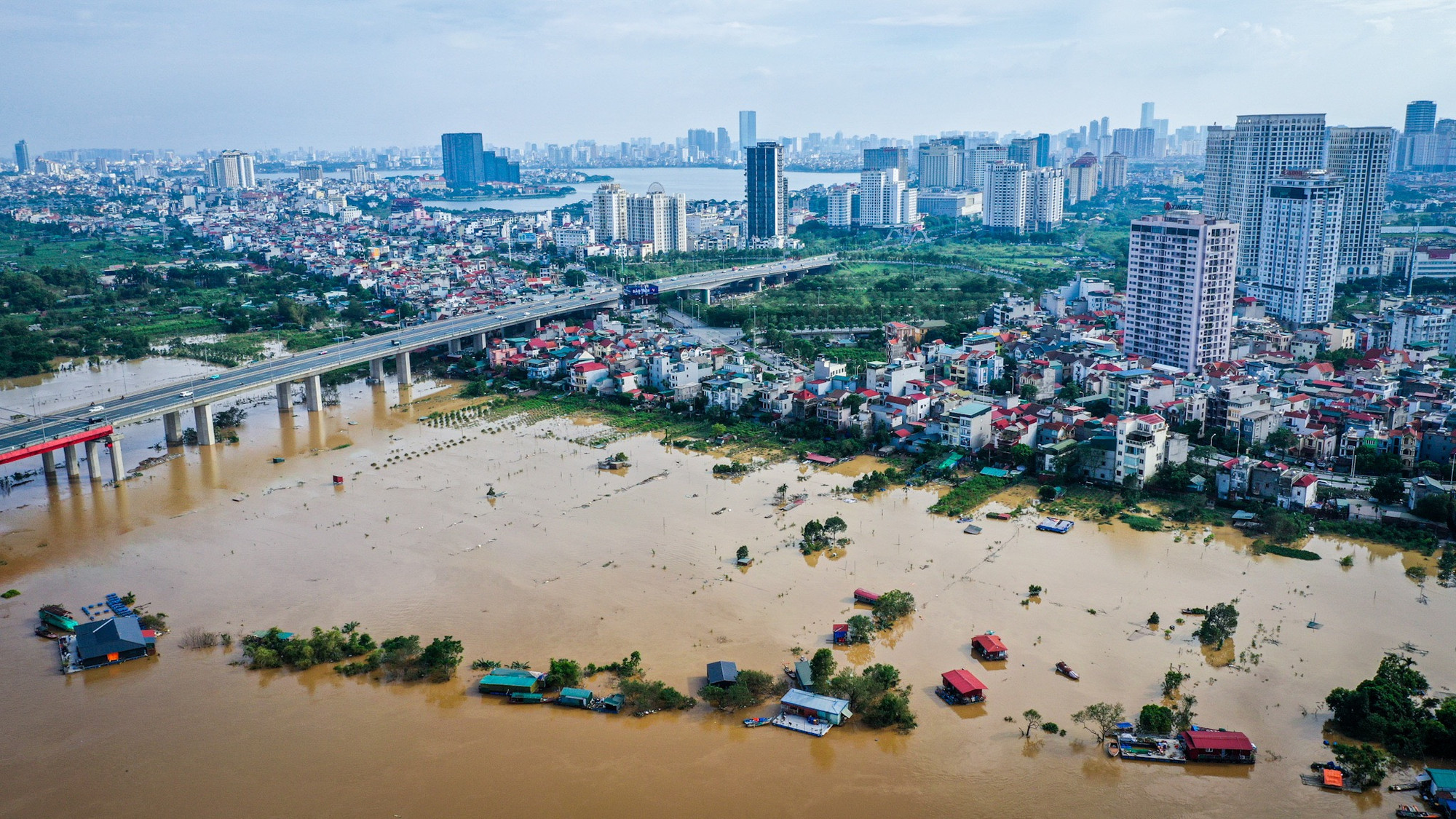 Theo báo cáo của Ủy ban nhân dân phường Nhật Tân, hiện có khoảng 80/90ha khu vực đất bãi sản xuất nông nghiệp của các hộ dân bị ngập. Đặc biệt, khoảng 20.000 cây đào đã chìm trong nước.