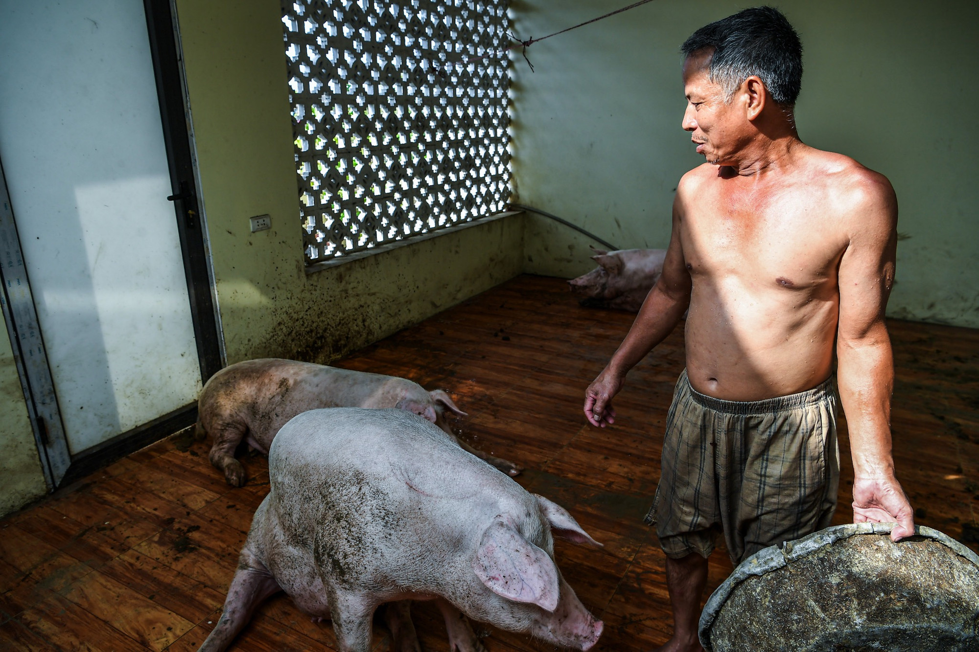 Ông Khả cho biết, cách đây 2 hôm, mưa lớn kèm theo nước sông Cầu và sông Cà Lồ lên nhanh đã khiến cho nhiều thôn của Trung Giã chìm trong biển nước. "Nước lên rất nhanh. Sáng 11/9, nước đã tràn vào trong sân. Chúng tôi hò nhau kéo chân từng con lợn lên tầng 3 để trú tránh", người đàn ông 60 tuổi kể lại. Ông Khả cho biết, cách đây 2 hôm, mưa lớn kèm theo nước sông Cầu và sông Cà Lồ lên nhanh đã khiến cho nhiều thôn của Trung Giã chìm trong biển nước. "Nước lên rất nhanh. Sáng 11/9, nước đã tràn vào trong sân. Chúng tôi hò nhau kéo chân từng con lợn lên tầng 3 để trú tránh", người đàn ông 60 tuổi kể lại.