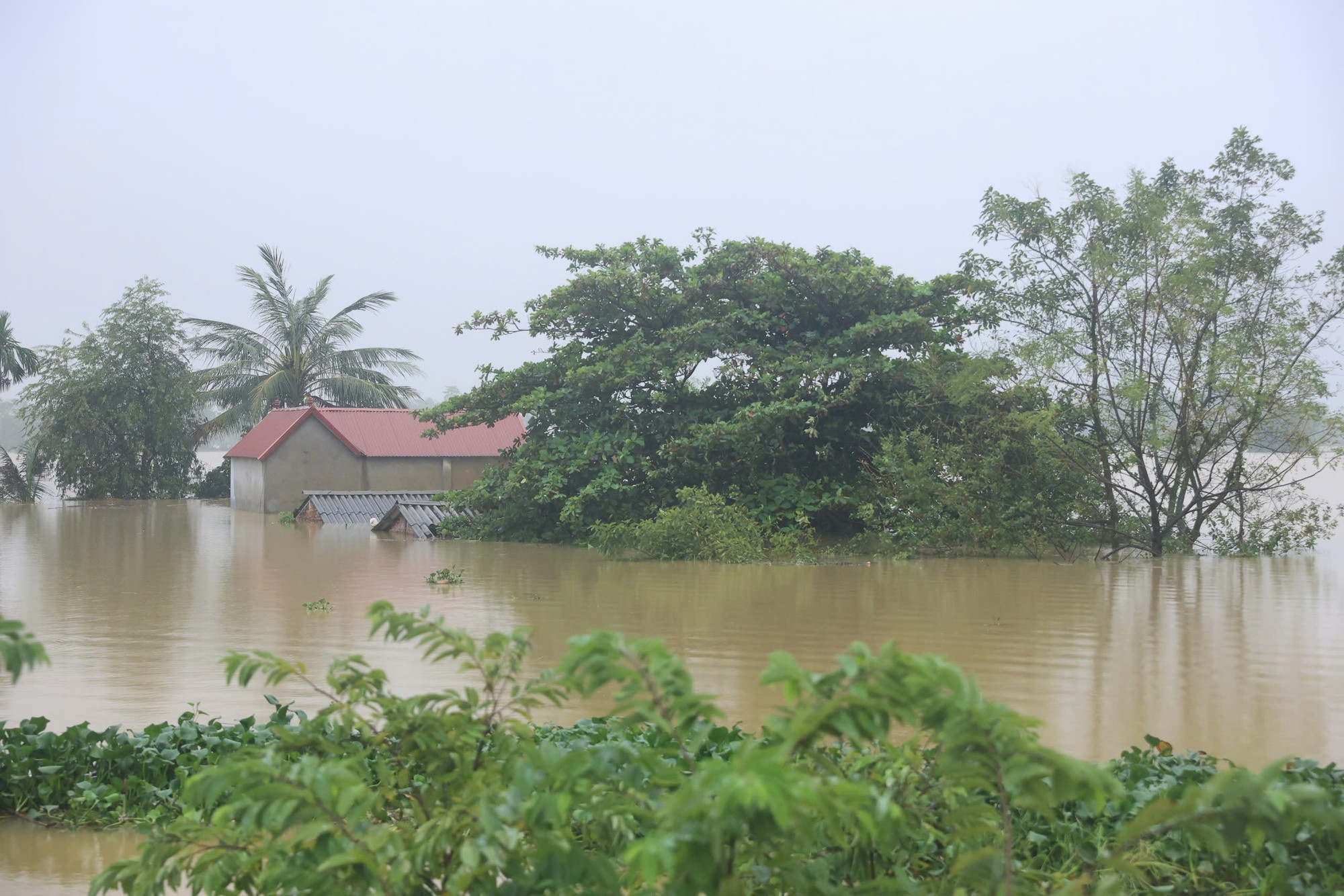 Nước ngập ngang lưng nhà dân.