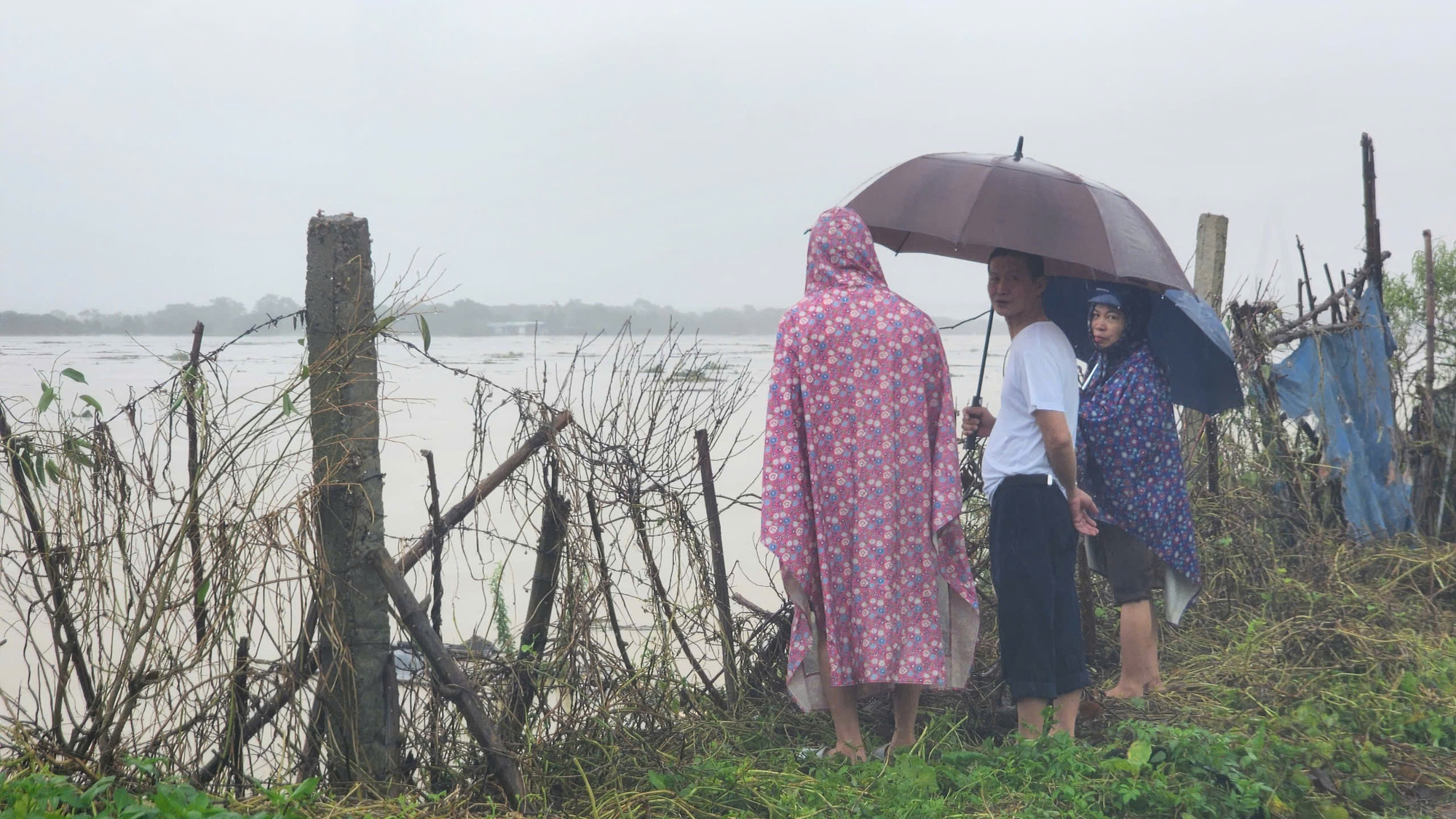 Trung tâm Dự báo Khí tượng Thủy văn Quốc gia cũng cảnh báo, mực nước sông Hồng tại Hà Nội sẽ tiếp tục dâng và đạt đỉnh vào khoảng 11 giờ trưa nay, 11/9. Trong ảnh, người dân tại phường Phú Thượng, Tây Hồ, Hà Nội lo lắng khi nhìn mực nước ngày càng dâng cao tại khu vực đê bao bên ngoài đường An Dương Vương sáng 11/9. Trung tâm Dự báo Khí tượng Thủy văn Quốc gia cũng cảnh báo, mực nước sông Hồng tại Hà Nội sẽ tiếp tục dâng và đạt đỉnh vào khoảng 11 giờ trưa nay, 11/9. Trong ảnh, người dân tại phường Phú Thượng, Tây Hồ, Hà Nội lo lắng khi nhìn mực nước ngày càng dâng cao tại khu vực đê bao bên ngoài đường An Dương Vương sáng 11/9.
