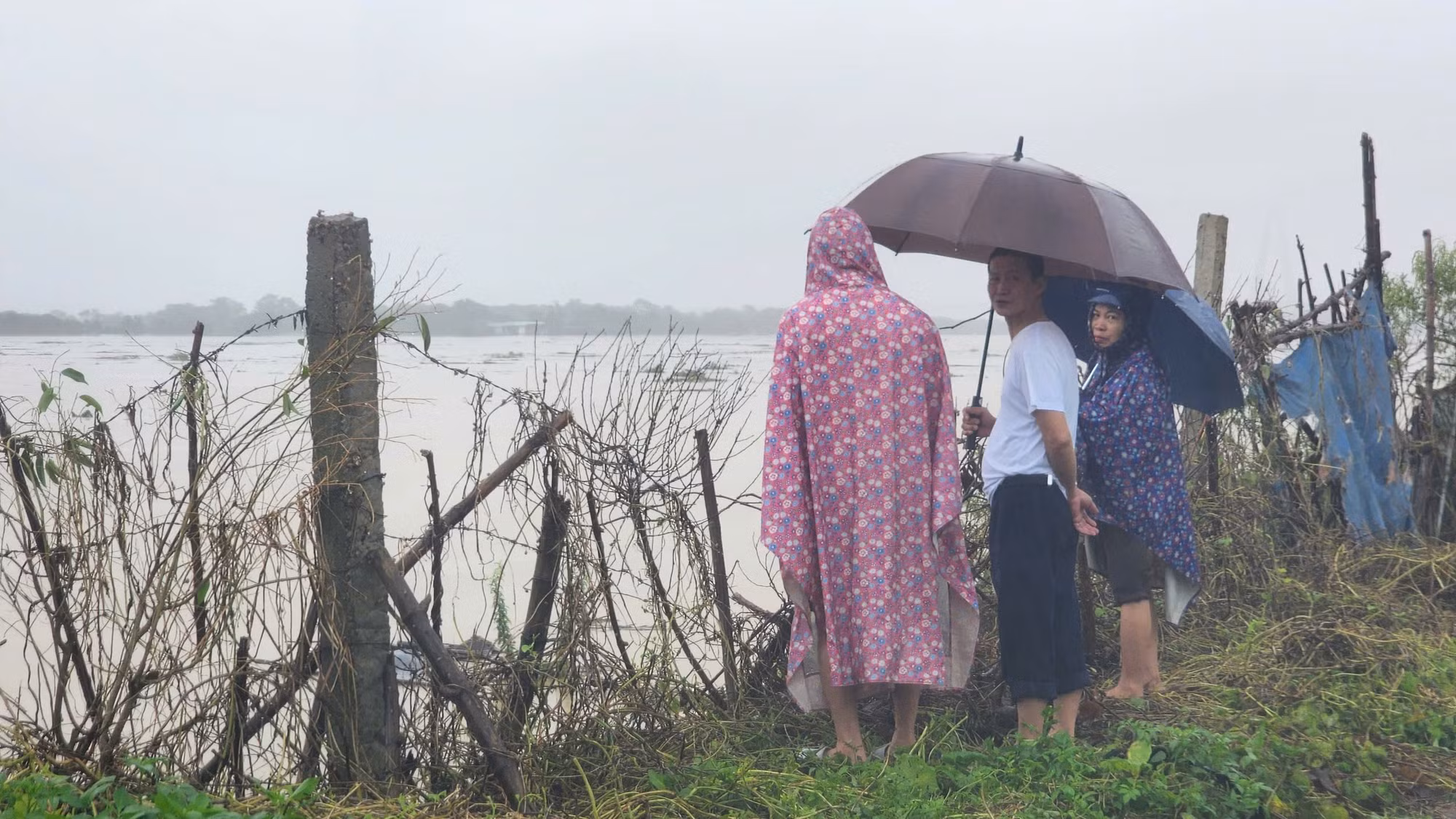 Trung tâm Dự báo Khí tượng Thủy văn Quốc gia cũng cảnh báo, mực nước sông Hồng tại Hà Nội sẽ tiếp tục dâng và đạt đỉnh vào khoảng 11 giờ trưa nay, 11/9. Trong ảnh, người dân tại phường Phú Thượng, Tây Hồ, Hà Nội lo lắng khi nhìn mực nước ngày càng dâng cao tại khu vực đê bao bên ngoài đường An Dương Vương sáng 11/9.