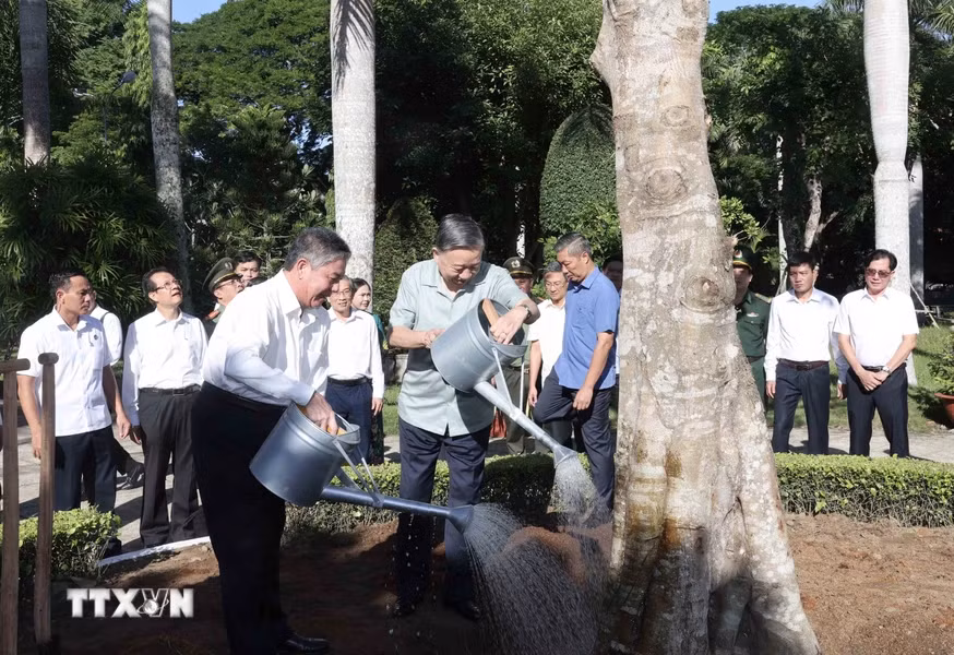 Chủ tịch nước Tô Lâm trồng cây tại Đền thờ Chủ tịch Hồ Chí Minh.