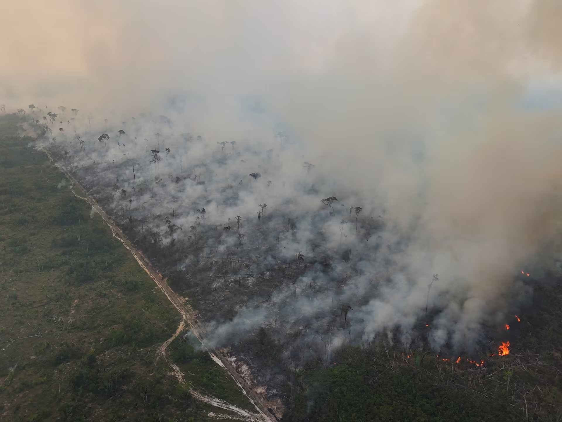 Theo thống kê của Viện Nghiên cứu quốc gia Brazil (INPE), các vụ cháy rừng tại Amazon trong tháng 8 vắt sang nửa đầu tháng 9 tăng tới 120% so với cùng kỳ năm ngoái, và tăng 234% so với tháng 7. Trong ảnh là đám cháy rừng được ghi lại ngày 8/9 tại bang Amazonas.