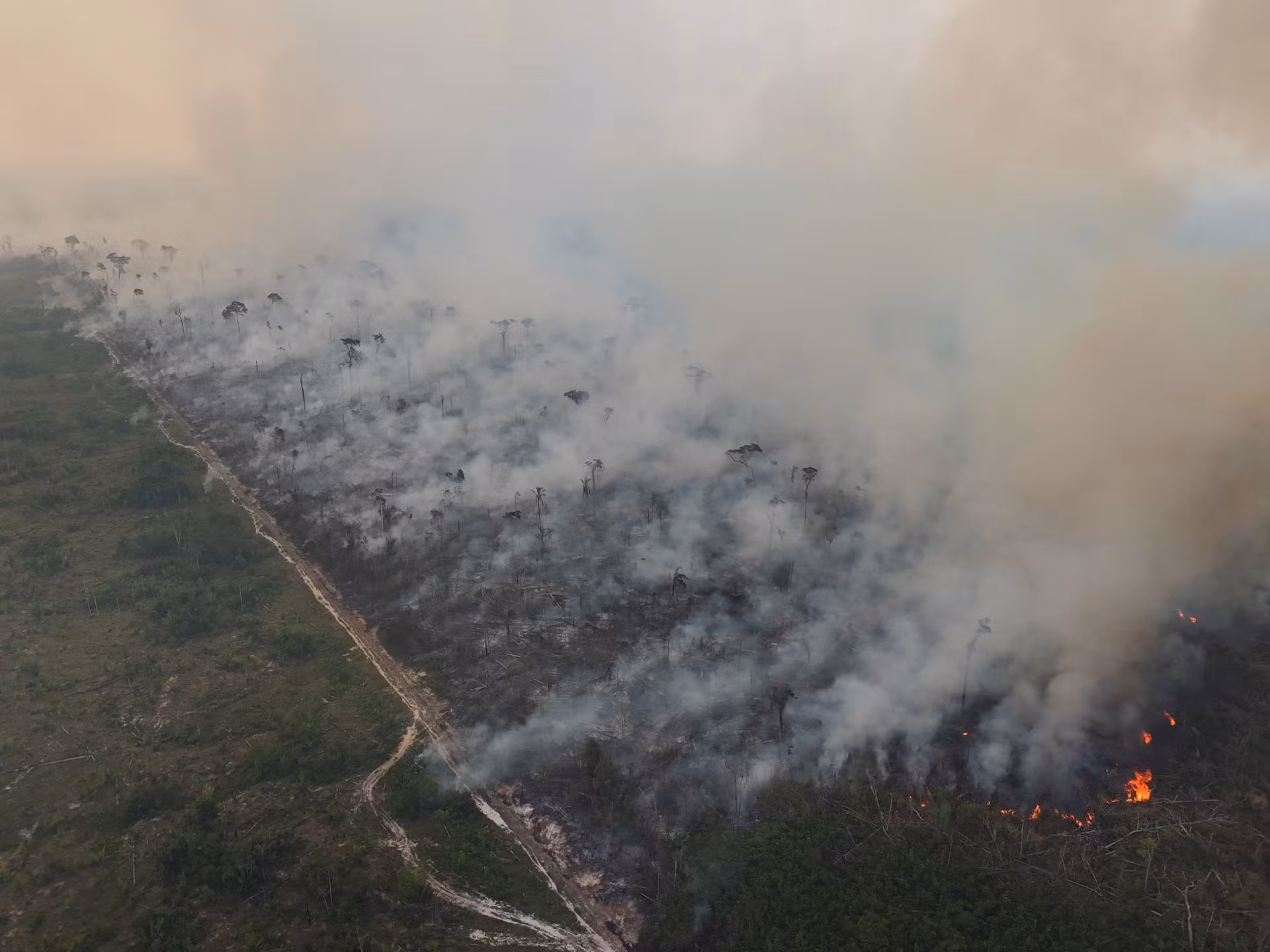 Theo thống kê của Viện Nghiên cứu quốc gia Brazil (INPE), các vụ cháy rừng tại Amazon trong tháng 8 vắt sang nửa đầu tháng 9 tăng tới 120% so với cùng kỳ năm ngoái, và tăng 234% so với tháng 7. Trong ảnh là đám cháy rừng được ghi lại ngày 8/9 tại bang Amazonas.