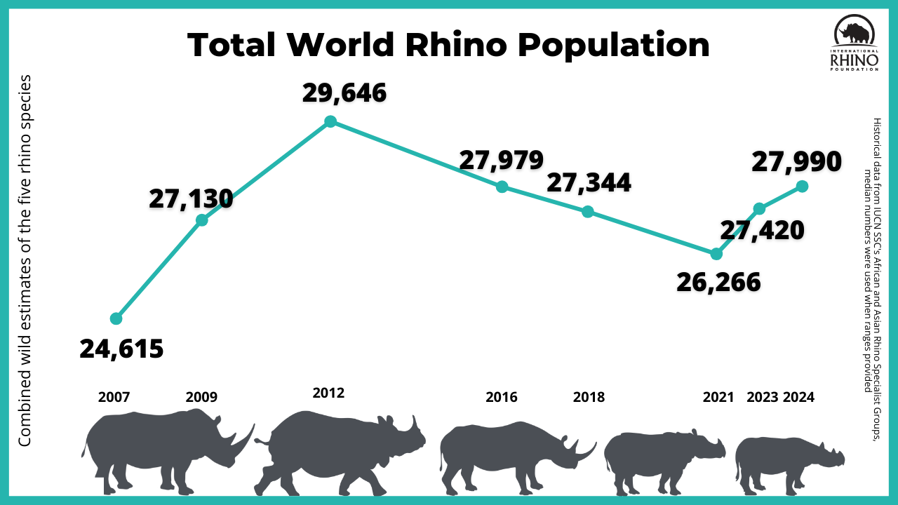 Biểu đồ thể hiện sự thay đổi của quần thể tê giác trong tự nhiên. (Infographic: IRF)
