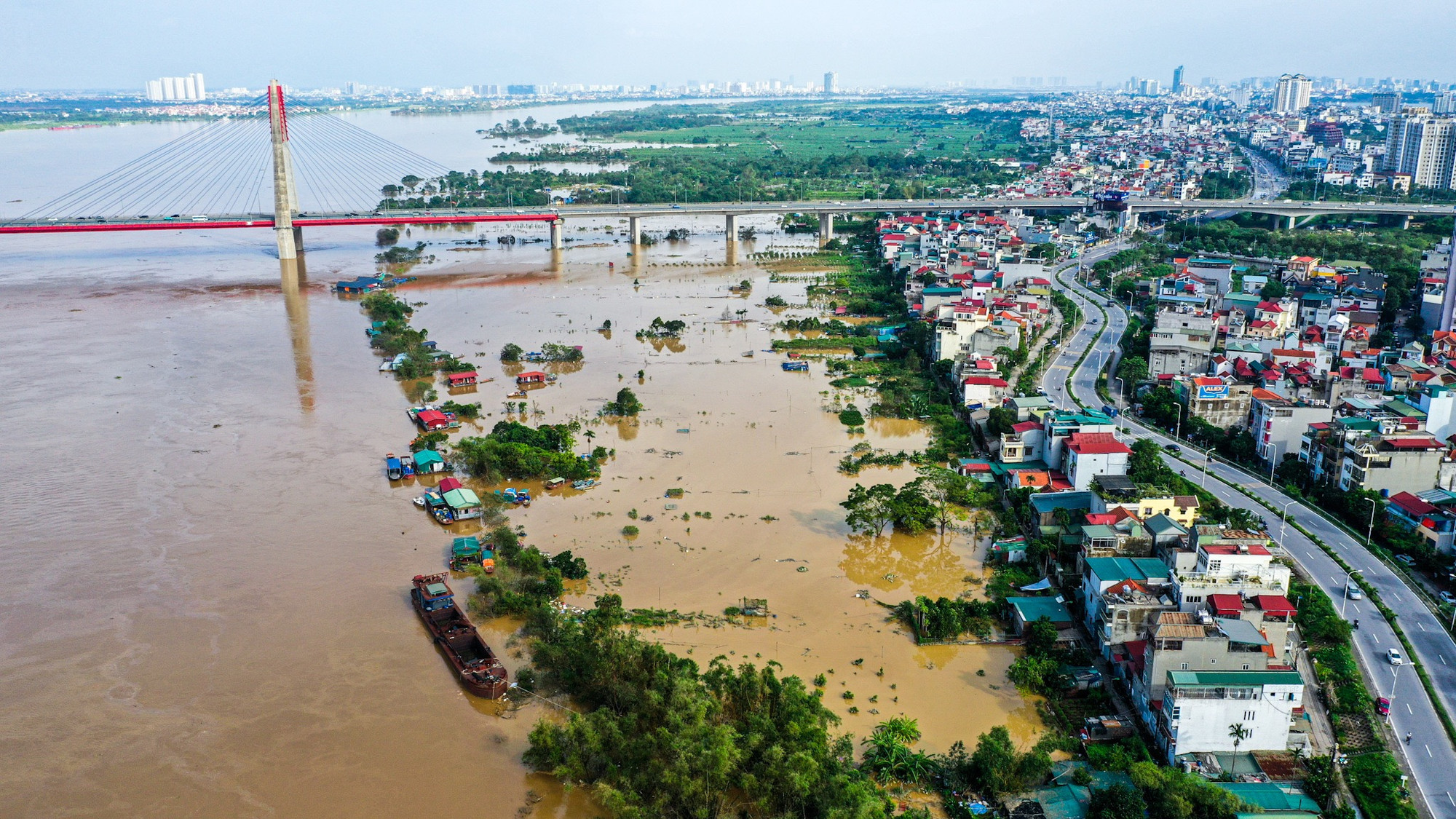 Cả vùng trồng đào lớn nhất Thủ đô chìm trong biển nước, chiều 12/9.