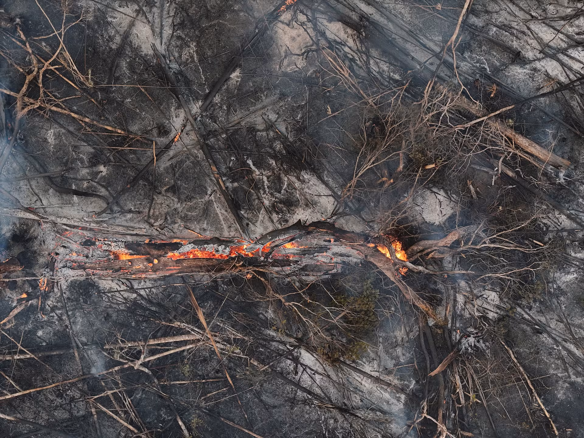 Các vụ cháy rừng trên diện rộng càng khiến cho tình trạng khô hạn tại lưu vực Amazon trở nên nghiêm trọng hơn.