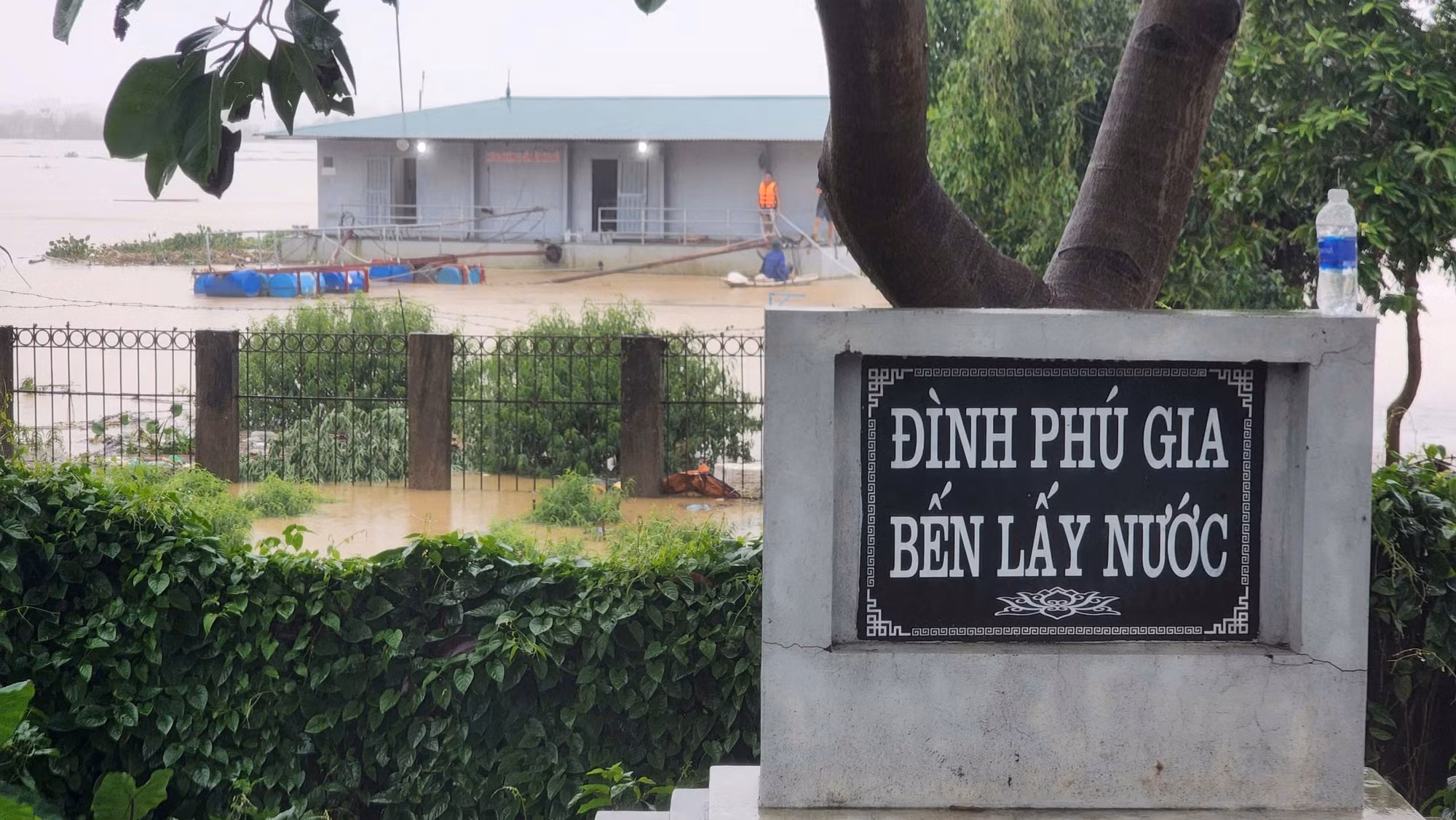 "Bình thường, để xuống sông từ Bến lấy nước đình Phú Gia phải đi bộ khoảng 5 phút. Thế nhưng, sáng nay, nước đã mấp mé gần phần đường xi măng ngoài đê", ông Sử, một người dân làng Phú Thượng lo lắng.