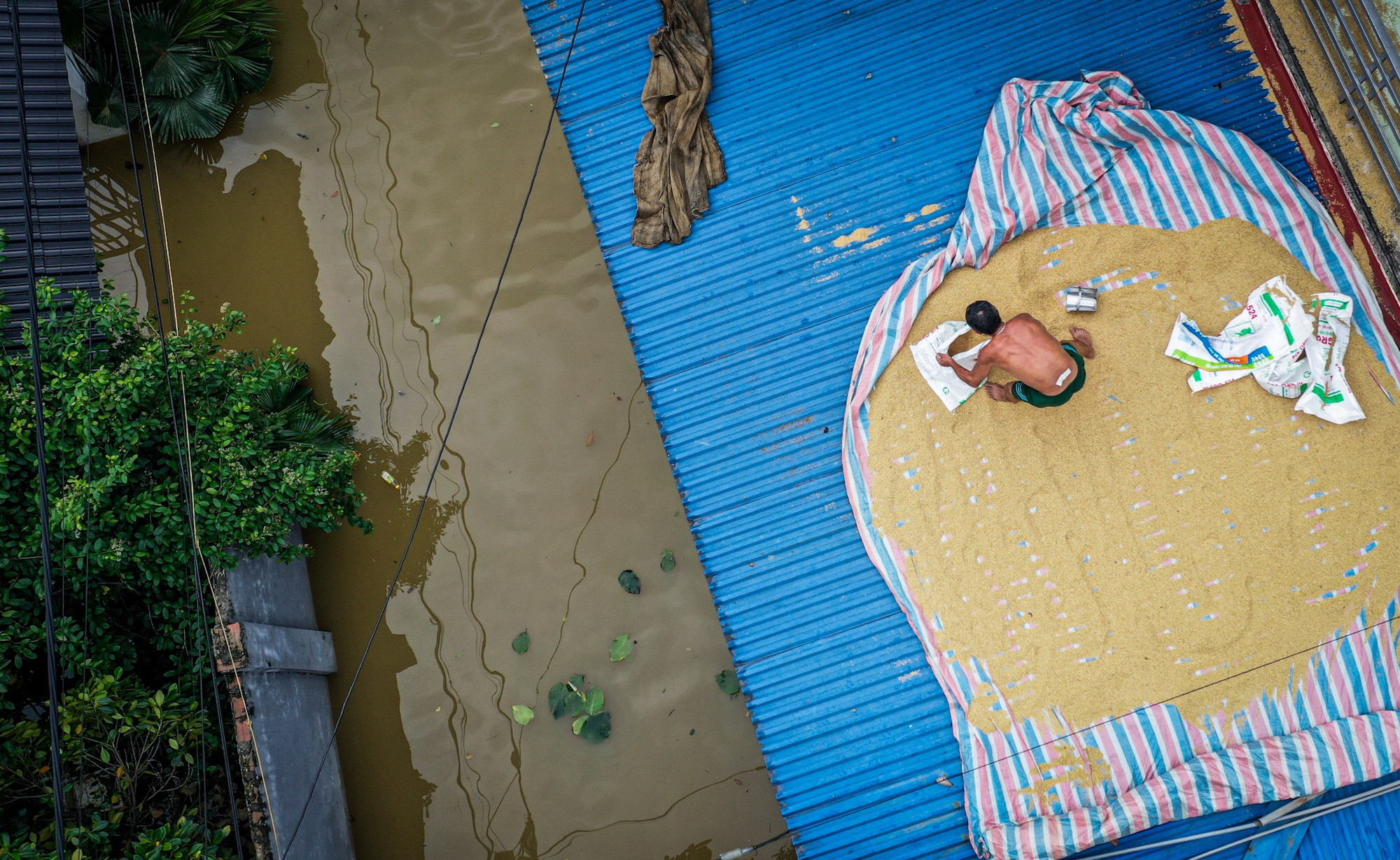 Sân phơi thóc đặc biệt tại thôn An Lạc, Trung Giã, Sóc Sơn. (Ảnh chụp chiều 13/9). Sân phơi thóc đặc biệt tại thôn An Lạc, Trung Giã, Sóc Sơn. (Ảnh chụp chiều 13/9).