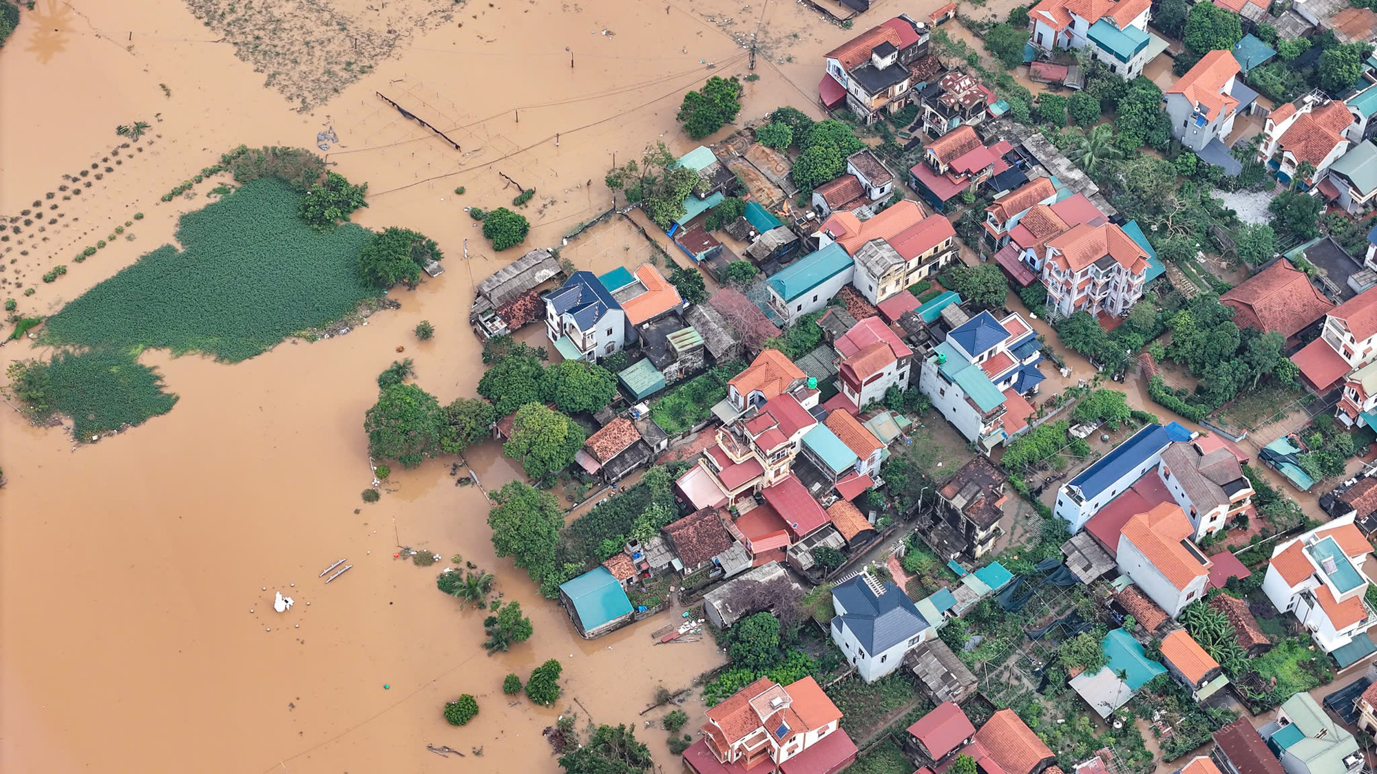 Sáng 12/9, nước đã tràn vào vùng trồng hoa, cây cảnh lớn nhất tỉnh Hưng Yên khiến cho khu đất nông nghiệp rộng lớn trên địa bàn 3 xã chìm trong biển nước.