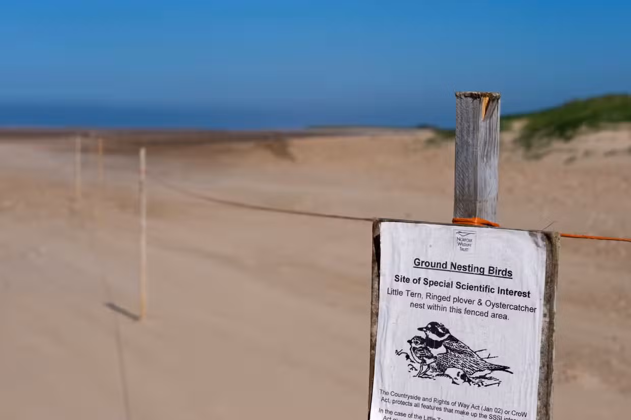 Một biển báo cảnh báo du khách tránh xa khu vực làm tổ của chum ở Thornham, Norfolk, Anh. (Ảnh: David Tipling/Universal Images Group/Getty Images)
