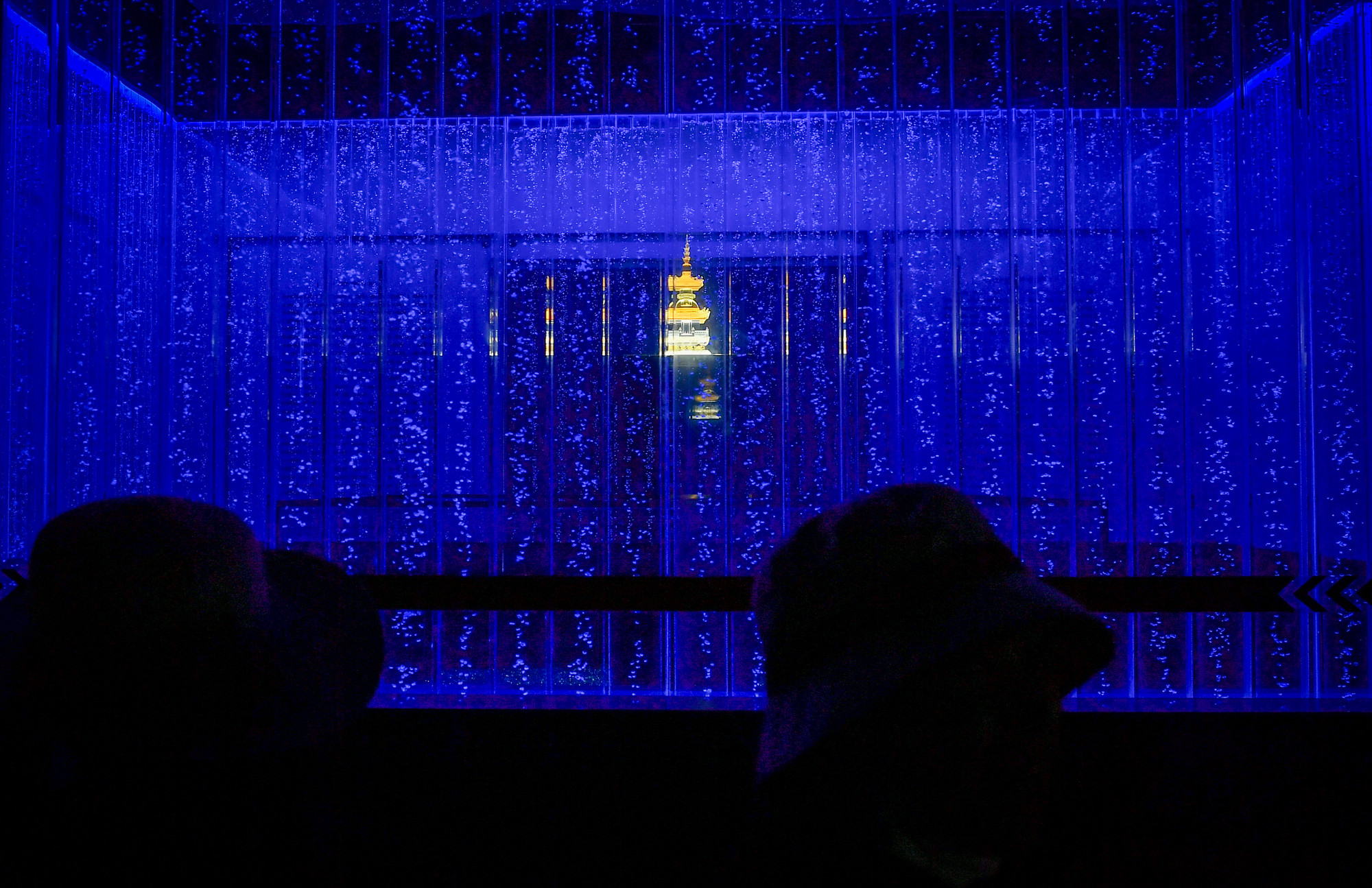 [Ảnh] Chiêm ngưỡng biển mây huyền ảo trên đỉnh núi Bà Đen Tây Ninh ảnh 13