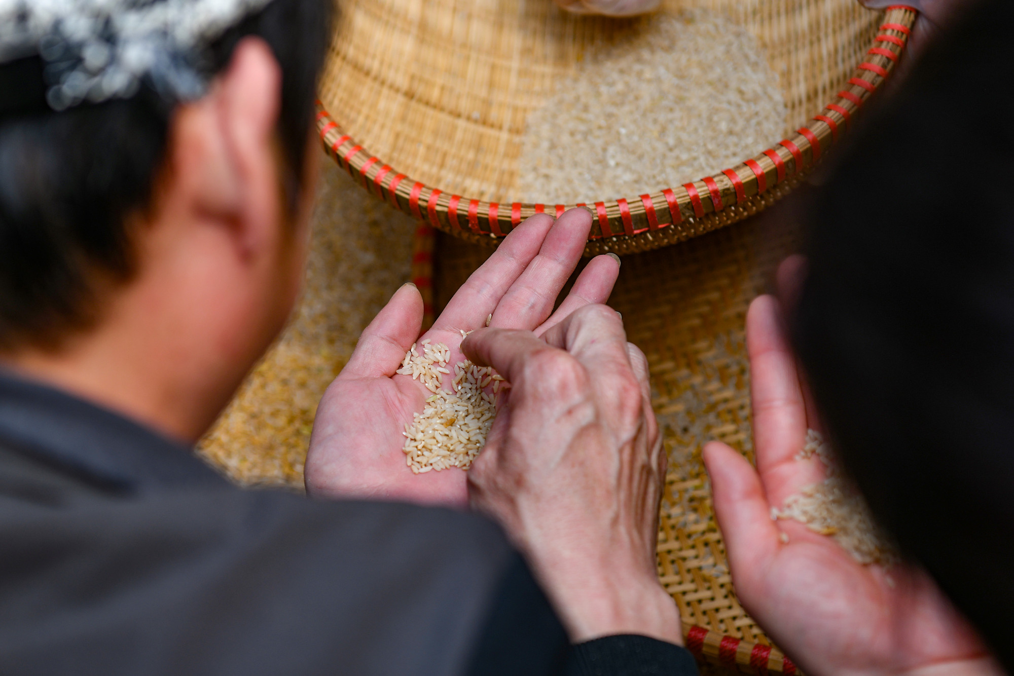 Mỗi hạt gạo chứa đựng cả tâm tình của người nấu.