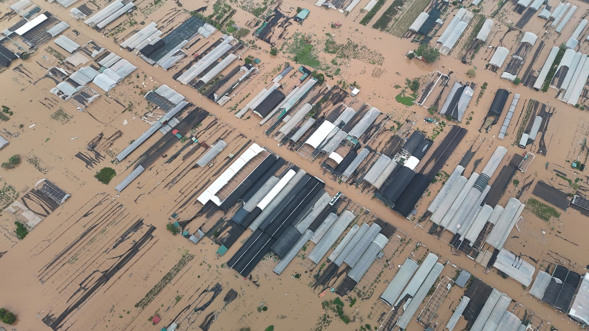 Nhìn từ trên cao, vùng trồng hoa nổi tiếng huyện Văn Giang chỉ còn những mái nhà màng nhô lên trên biển nước đỏ ngầu.