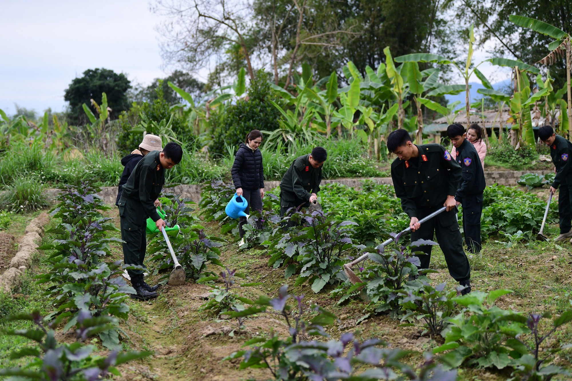 Ngoài việc sẵn sàng chiến đấu, các chiến sĩ còn tham gia hỗ trợ người dân sản xuất.