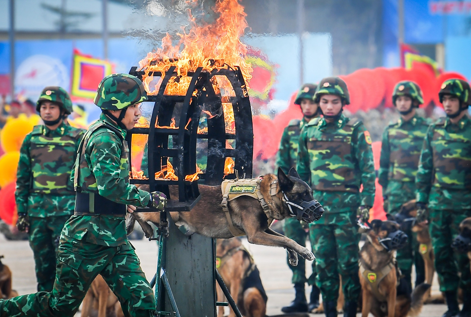 Lực lượng quân khuyển tham gia biểu diễn tại Lễ Tổng duyệt.