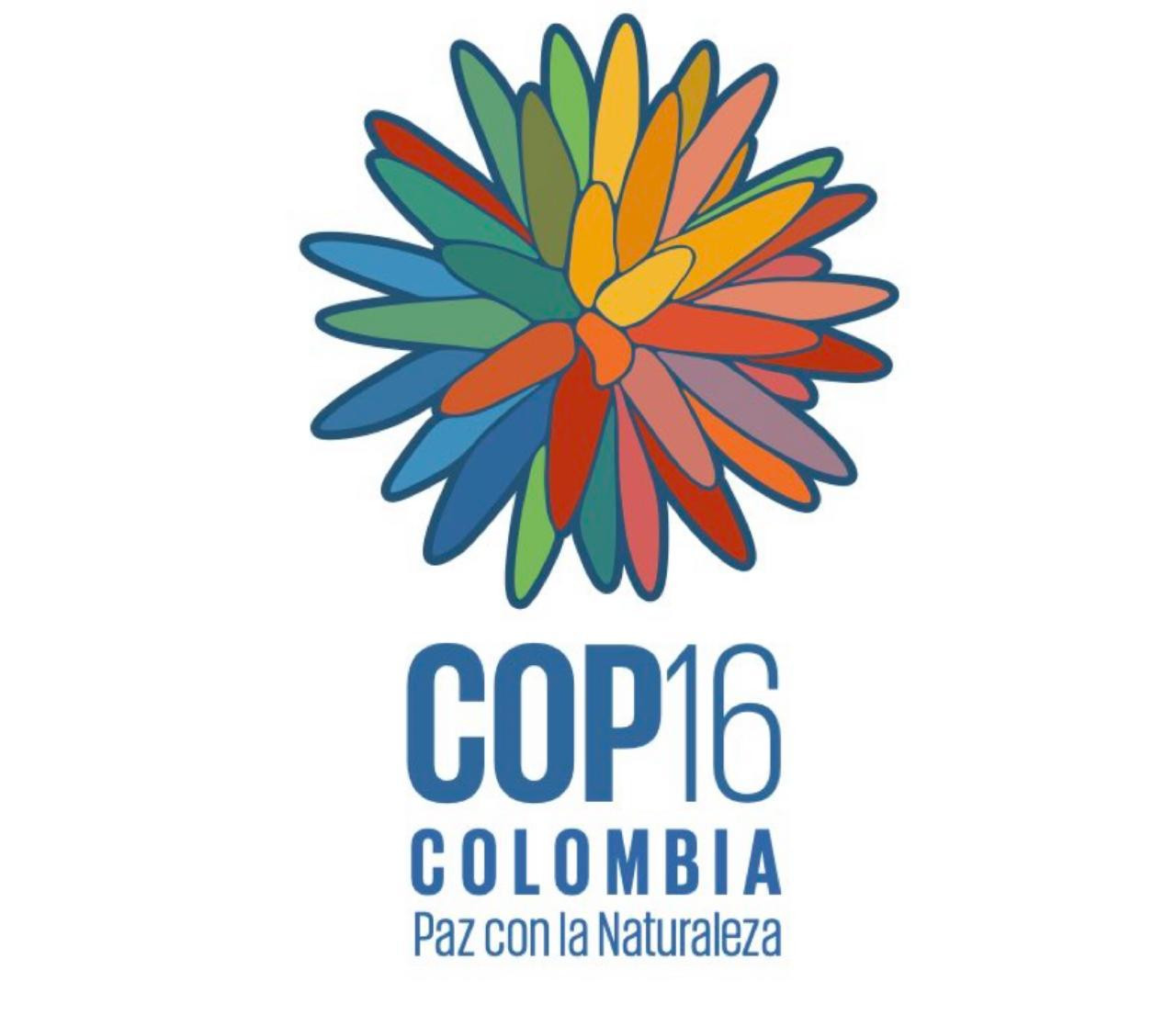 Logo của COP16 là bông hoa Inírida mùa hè. Đây là loài thực vật đặc hữu của khu vực Inírida, Colombia .