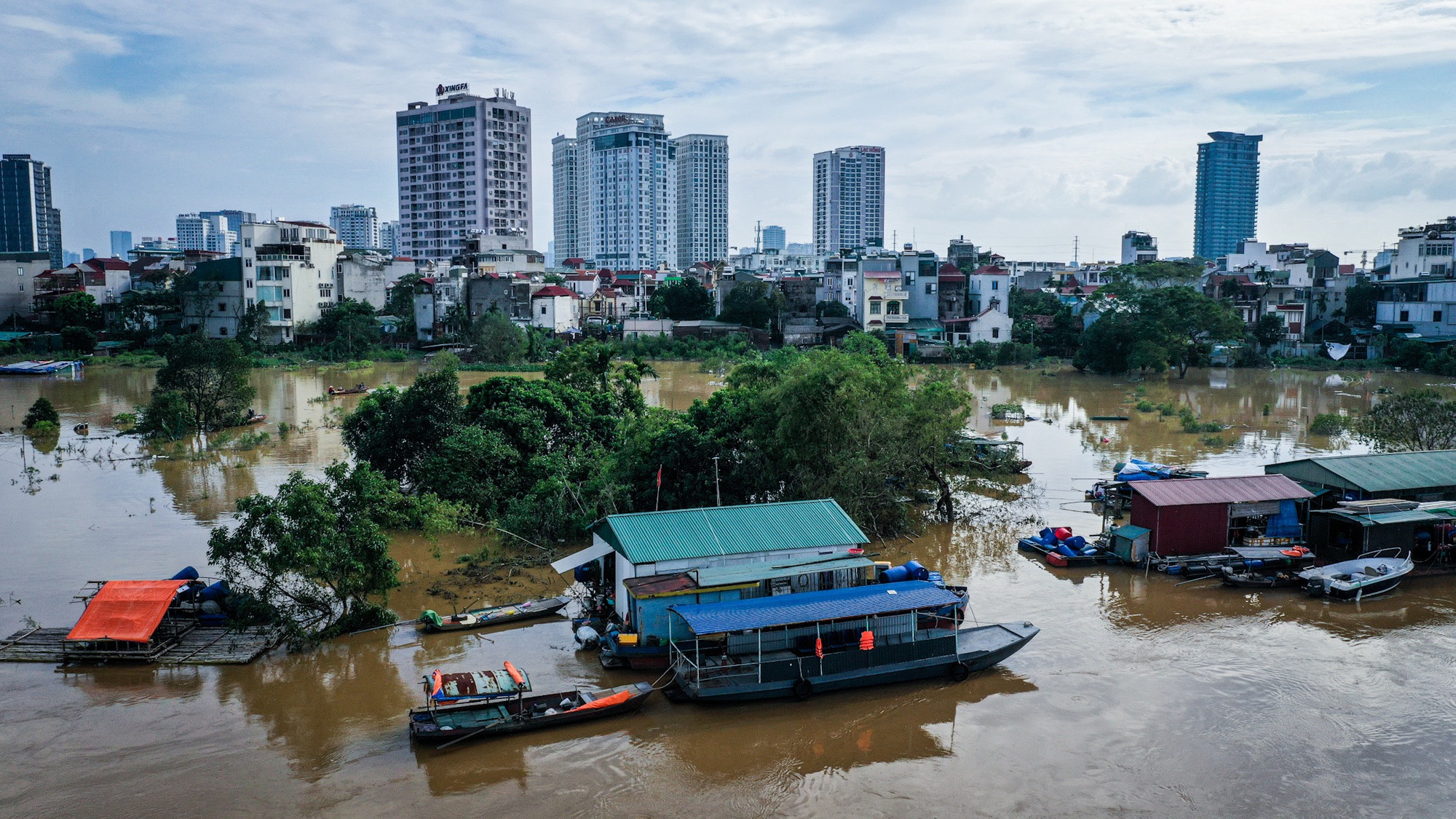 Nước rút để lộ ra những ngọn cây nghiêng ngả.