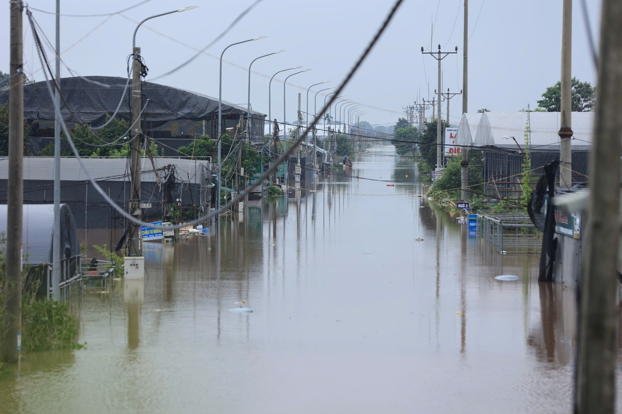 Nhìn từ mặt đê, nước ngập rất cao trên đường liên thôn tại xã Phụng Công.