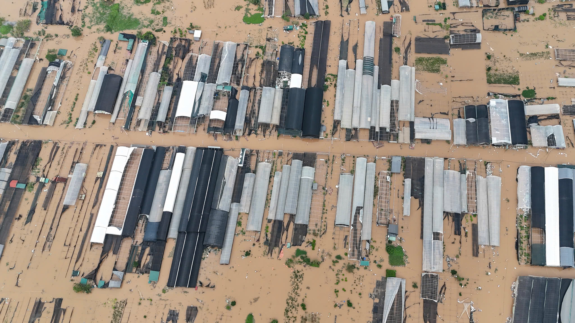 Nước dâng nhanh khiến người dân chịu thiệt hại nặng.