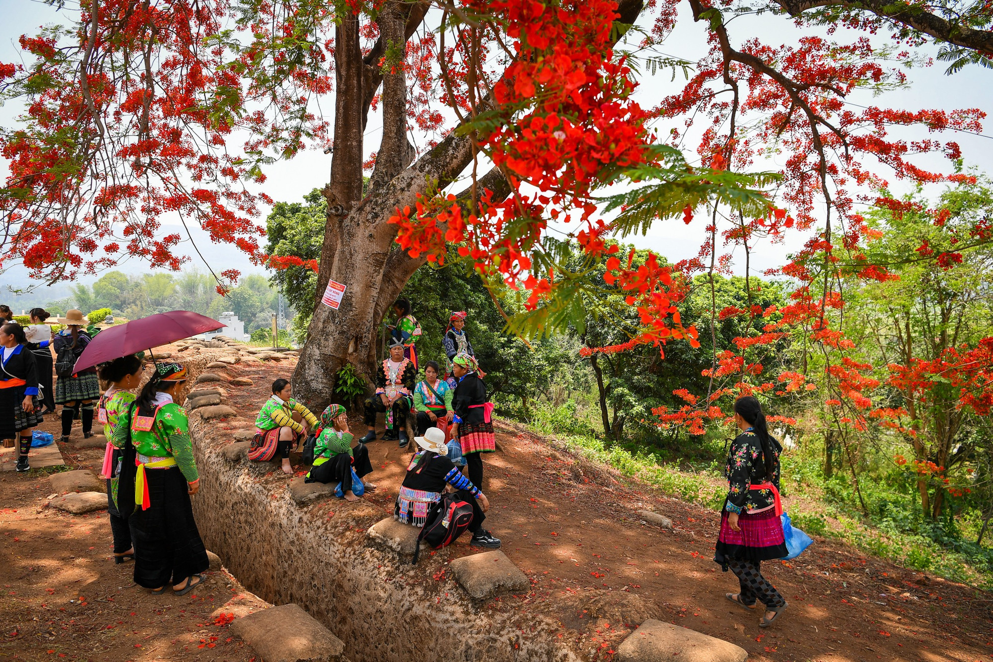 Ghi nhận tại khu di tích lịch sử Đồi A1, dòng người nườm nượp lên xuống. Rất nhiều đồng bào các dân tộc tỉnh Điện Biên cũng có mặt để tham quan.