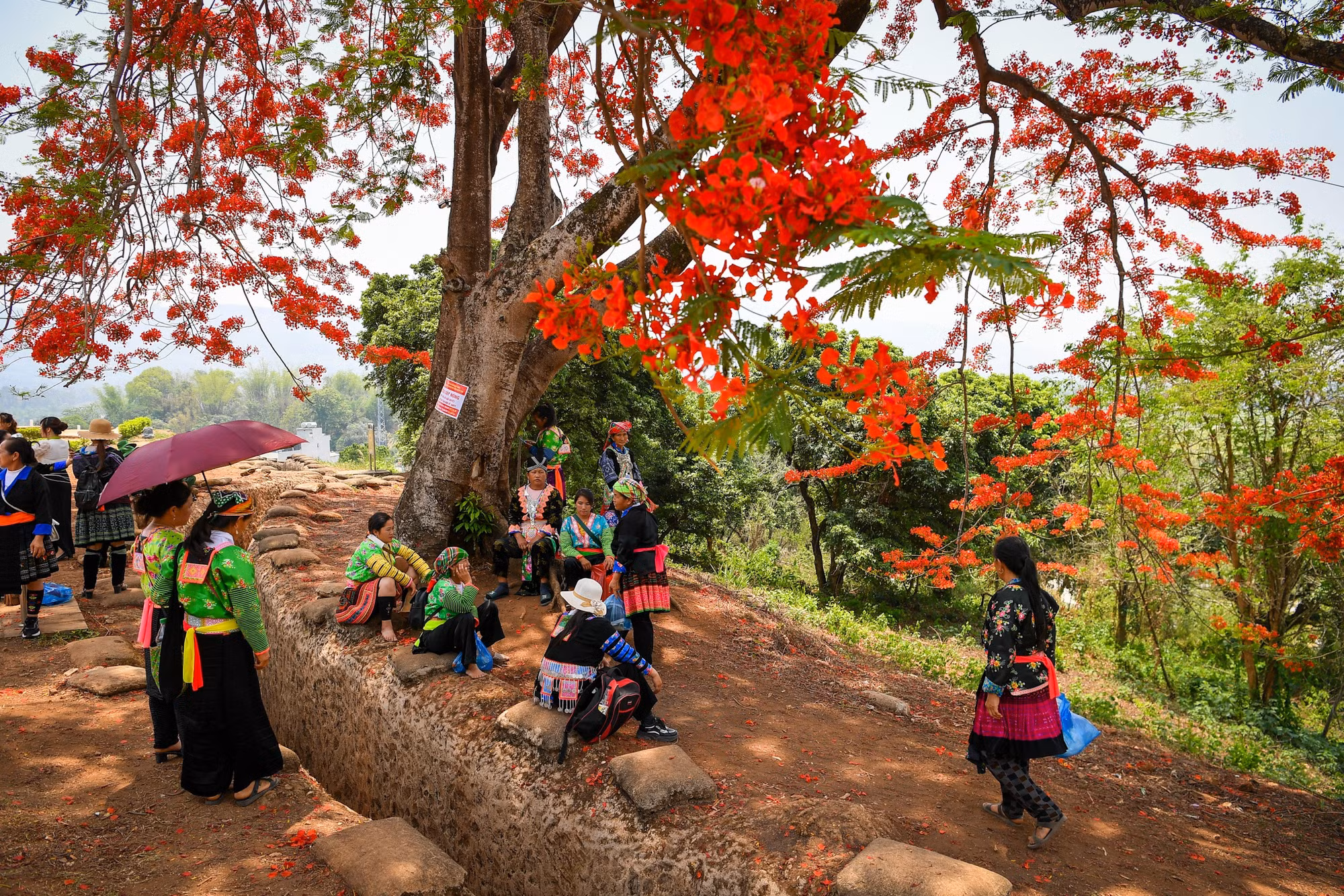 Ghi nhận tại khu di tích lịch sử Đồi A1, dòng người nườm nượp lên xuống. Rất nhiều đồng bào các dân tộc tỉnh Điện Biên cũng có mặt để tham quan.