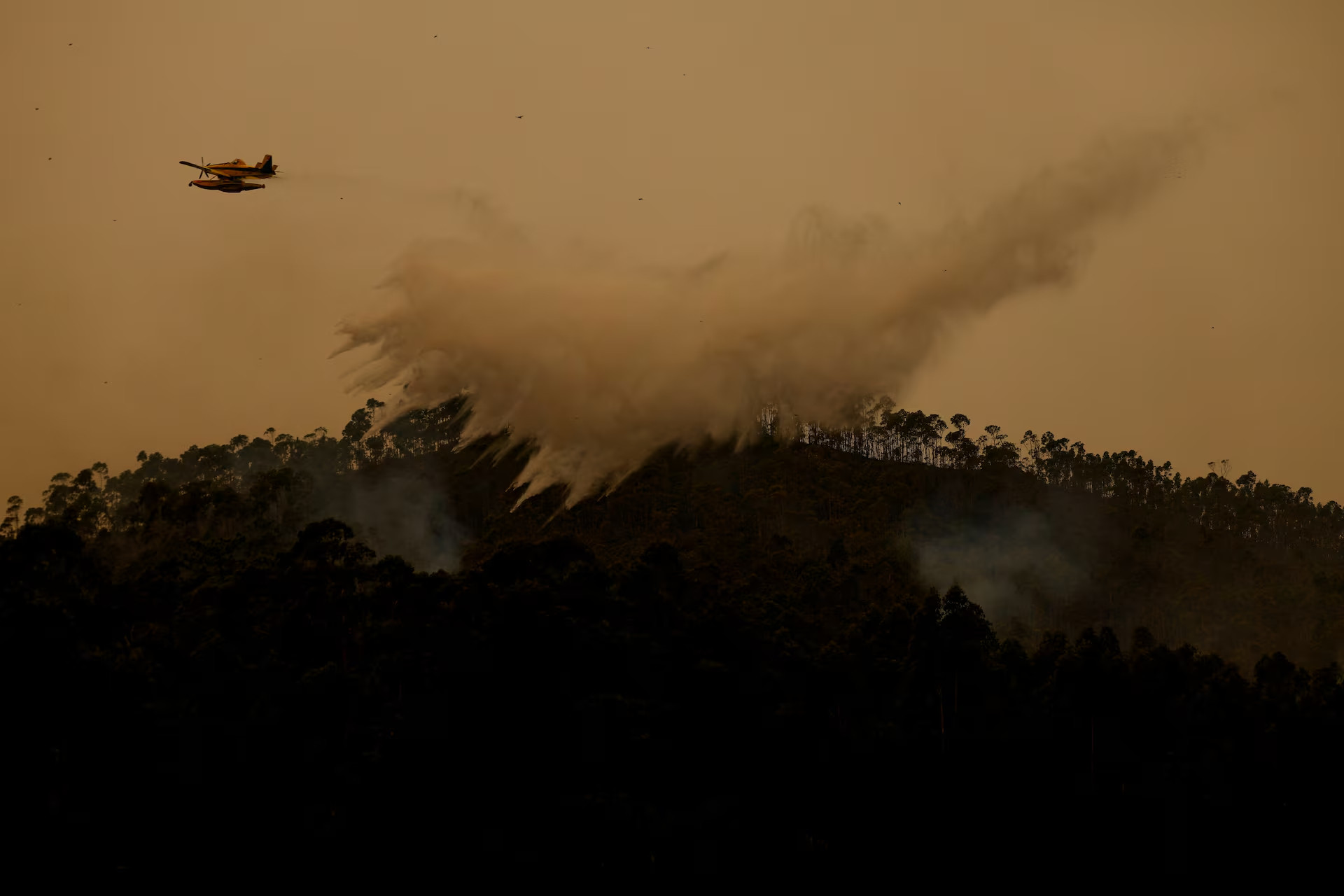 Tính đến hết ngày 20/9, phần lớn các đám cháy đã được khống chế. Tuy nhiên vẫn còn 2 vụ hỏa hoạn khác tại Castro Daire, nơi hơn 2.400 lĩnh cứu hỏa đang tiếp tục chiến đấu với lửa.