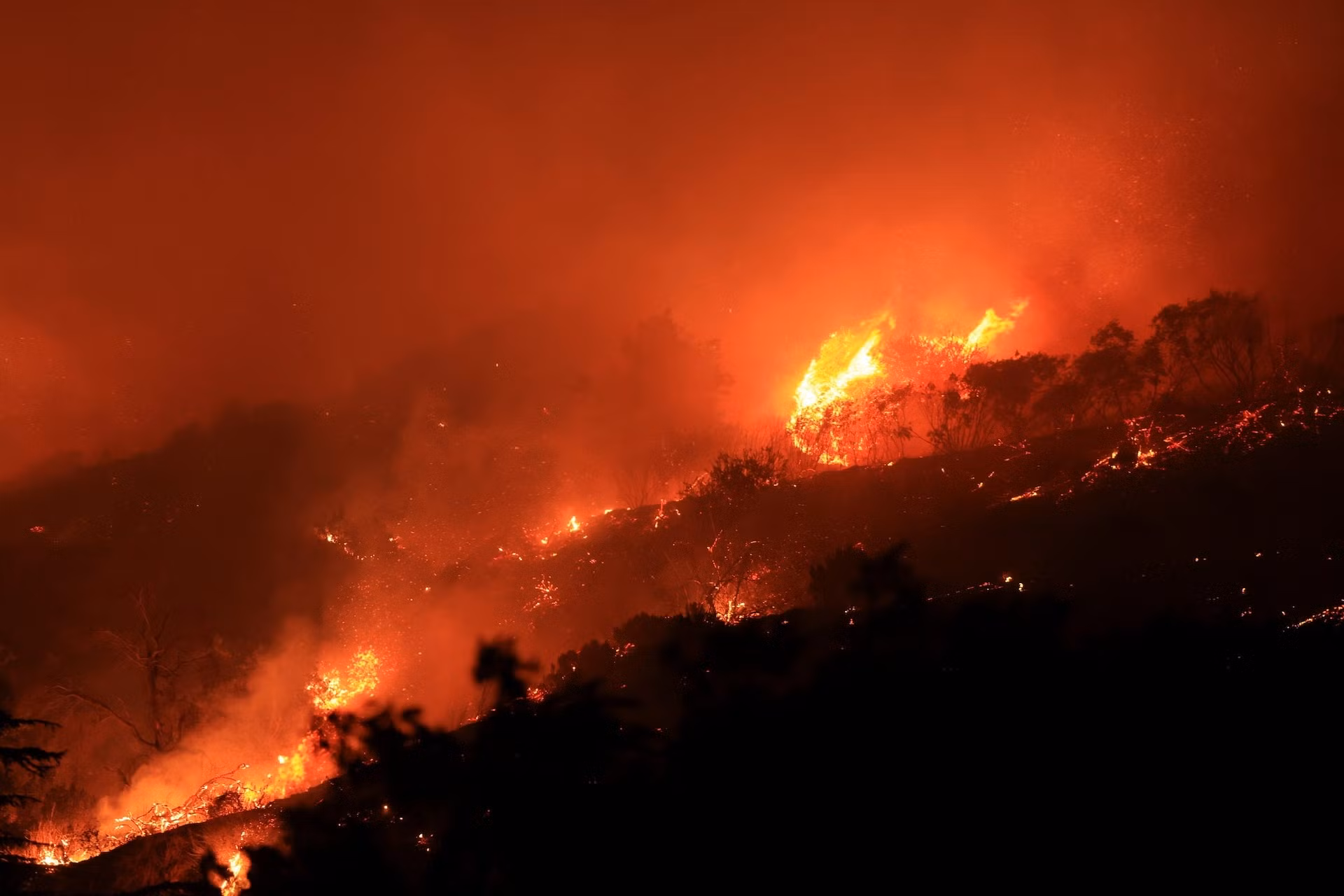 Khói và lửa bốc lên, mang theo tro bụi với nhiệt độ cao tràn tới các khu dân cư khiến nhiều ngôi nhà bị cháy. Trong ảnh, có thể thấy lửa và khói bốc lên dữ dội tại Santa Paula, California. (Ảnh: Reuters) Khói và lửa bốc lên, mang theo tro bụi với nhiệt độ cao tràn tới các khu dân cư khiến nhiều ngôi nhà bị cháy. Trong ảnh, có thể thấy lửa và khói bốc lên dữ dội tại Santa Paula, California. (Ảnh: Reuters)