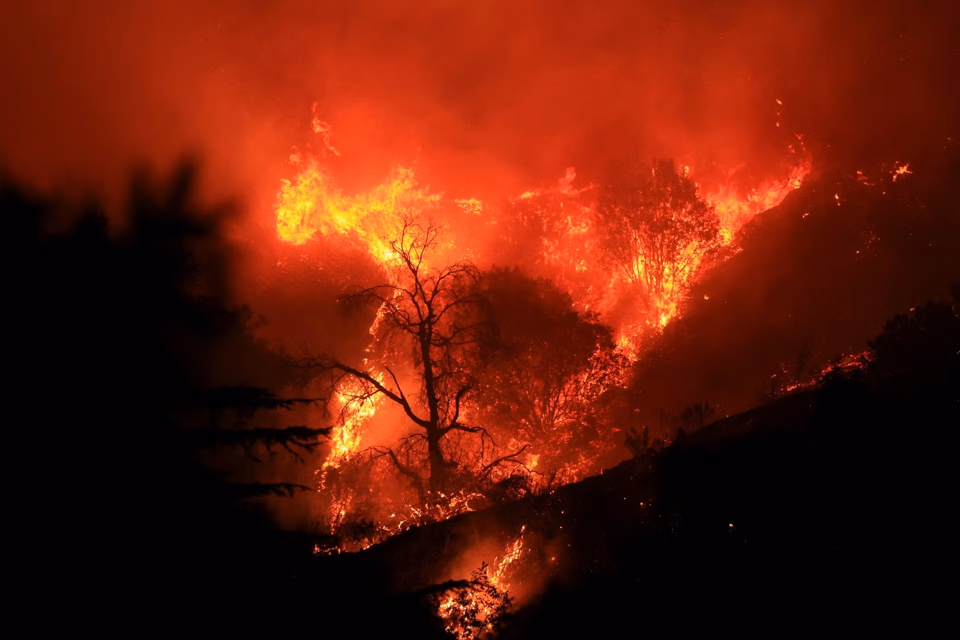 Theo giới chức địa phương, lửa bùng phát dữ dội do cỏ dại và cây bụi rậm rạp cùng sức gió giật lên tới 130 km/giờ, khiến diện tích cháy đã chạm mốc 5.900 ha. Theo giới chức địa phương, lửa bùng phát dữ dội do cỏ dại và cây bụi rậm rạp cùng sức gió giật lên tới 130 km/giờ, khiến diện tích cháy đã chạm mốc 5.900 ha.