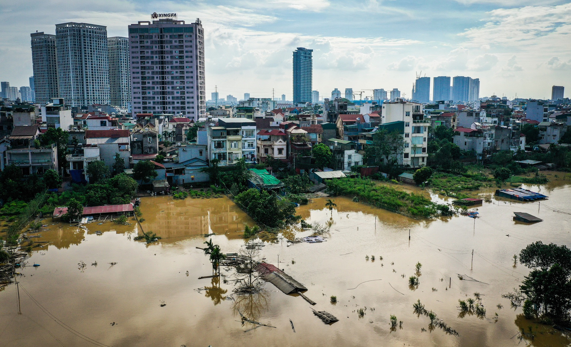 Vùng trồng đào rộng nhiều héc-ta ven sông Hồng gần như bị xóa sổ.