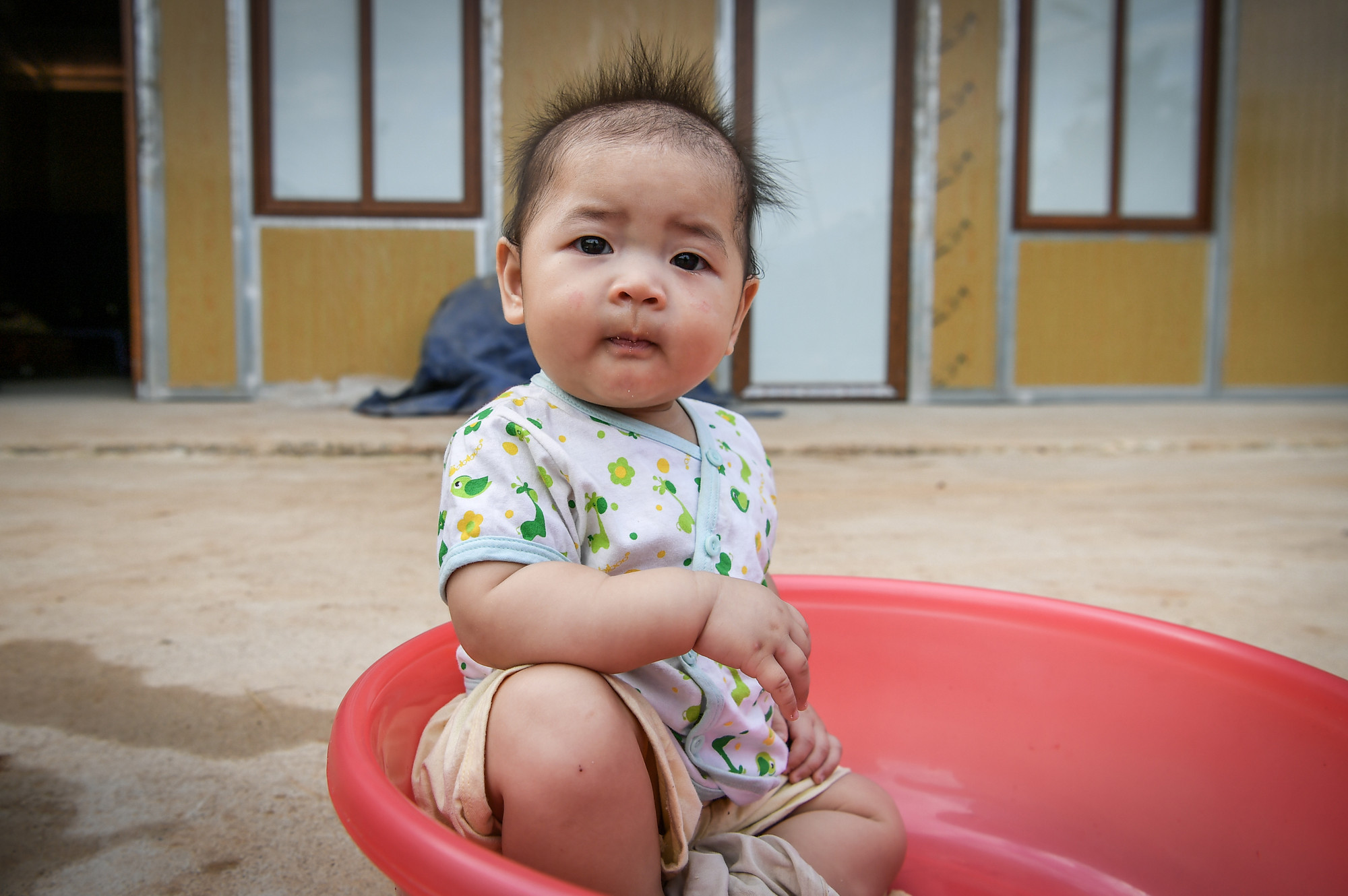 Ánh mắt ấy, dường như chưa ý thức được nỗi đau người lớn phải trải qua. Ánh mắt ấy, dường như chỉ có niềm hy vọng - niềm hy vọng vào tương lai đang nảy mầm phía trước từ chính những ngôi nhà vững chãi hôm nay...