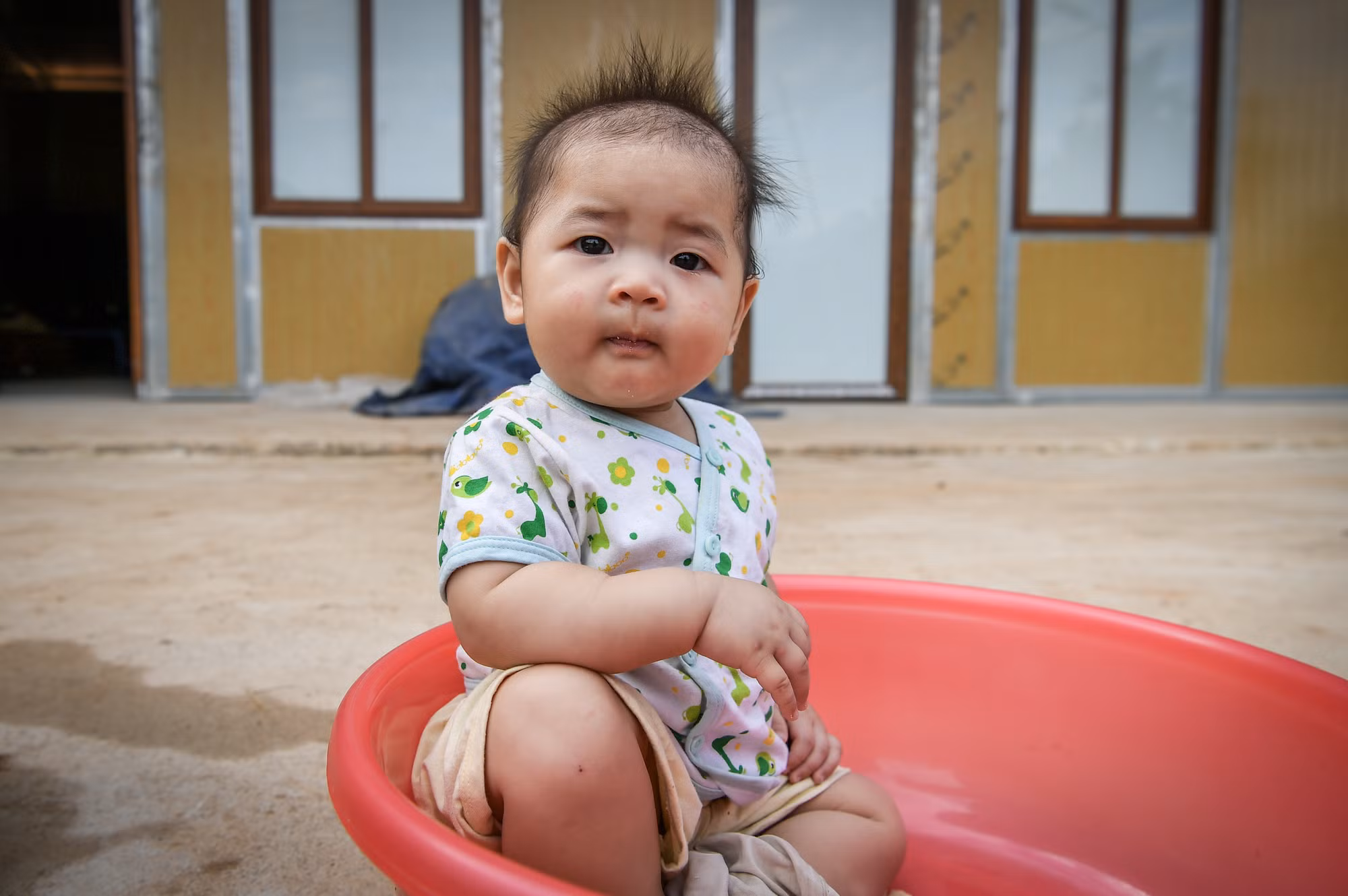 Ánh mắt ấy, dường như chưa ý thức được nỗi đau người lớn phải trải qua. Ánh mắt ấy, dường như chỉ có niềm hy vọng - niềm hy vọng vào tương lai đang nảy mầm phía trước từ chính những ngôi nhà vững chãi hôm nay...