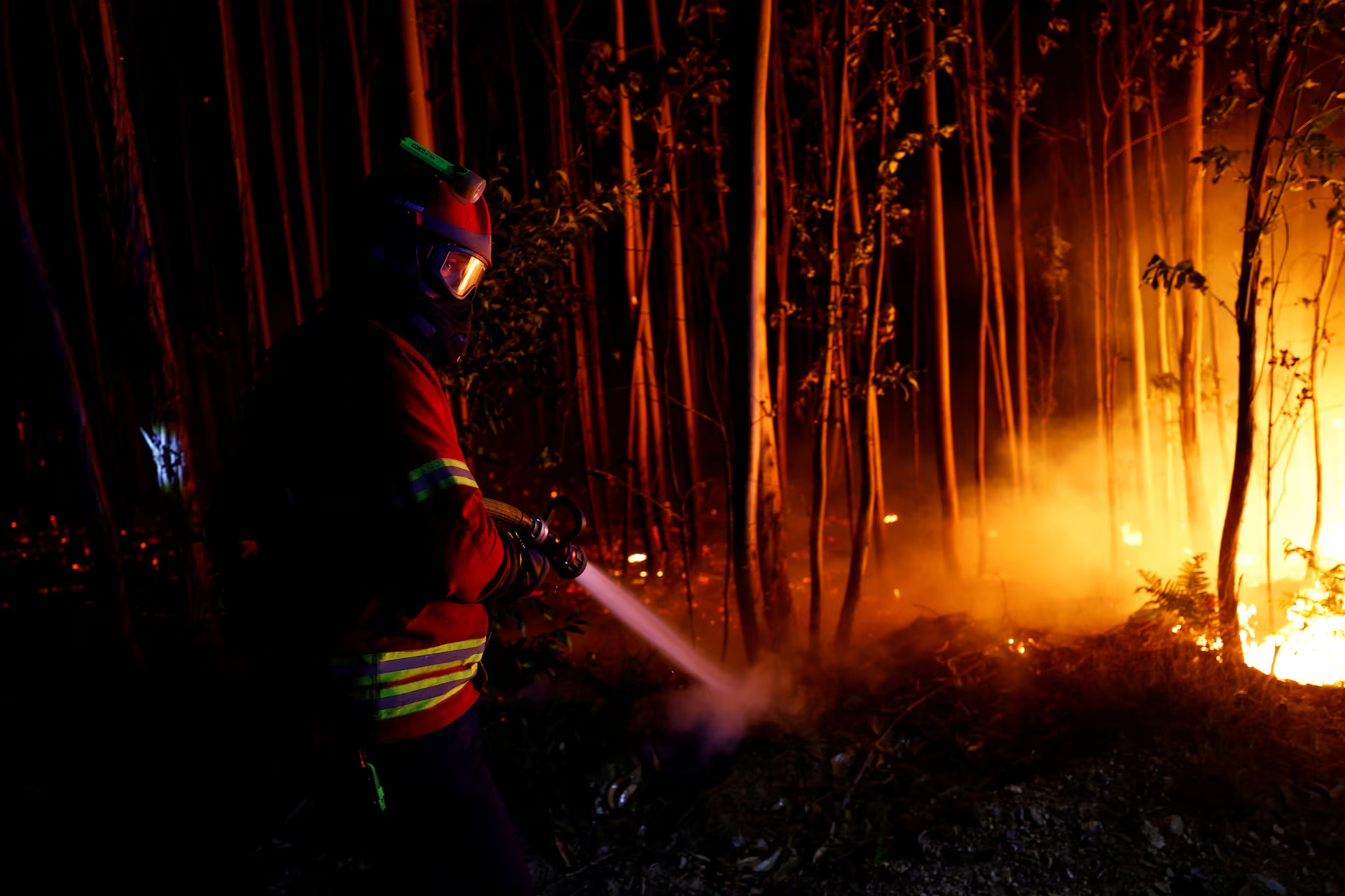 Một lính cứu hỏa đang chiến đấu với đám cháy rừng gần Soutelo, Bồ Đào Nha, ngày 18/9.